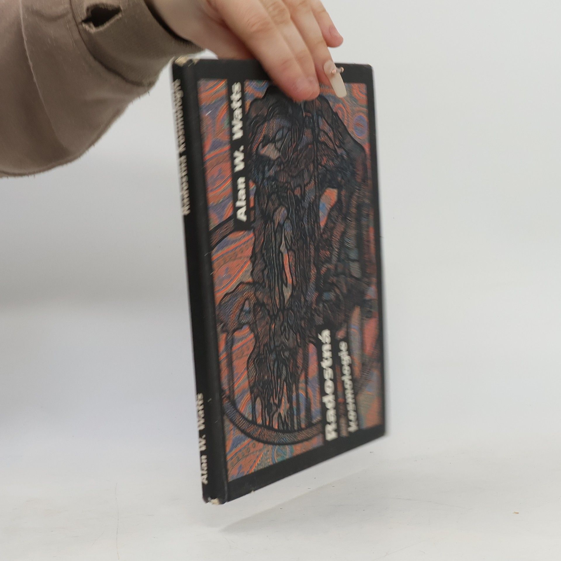 Alan Watts Radostná kosmologie