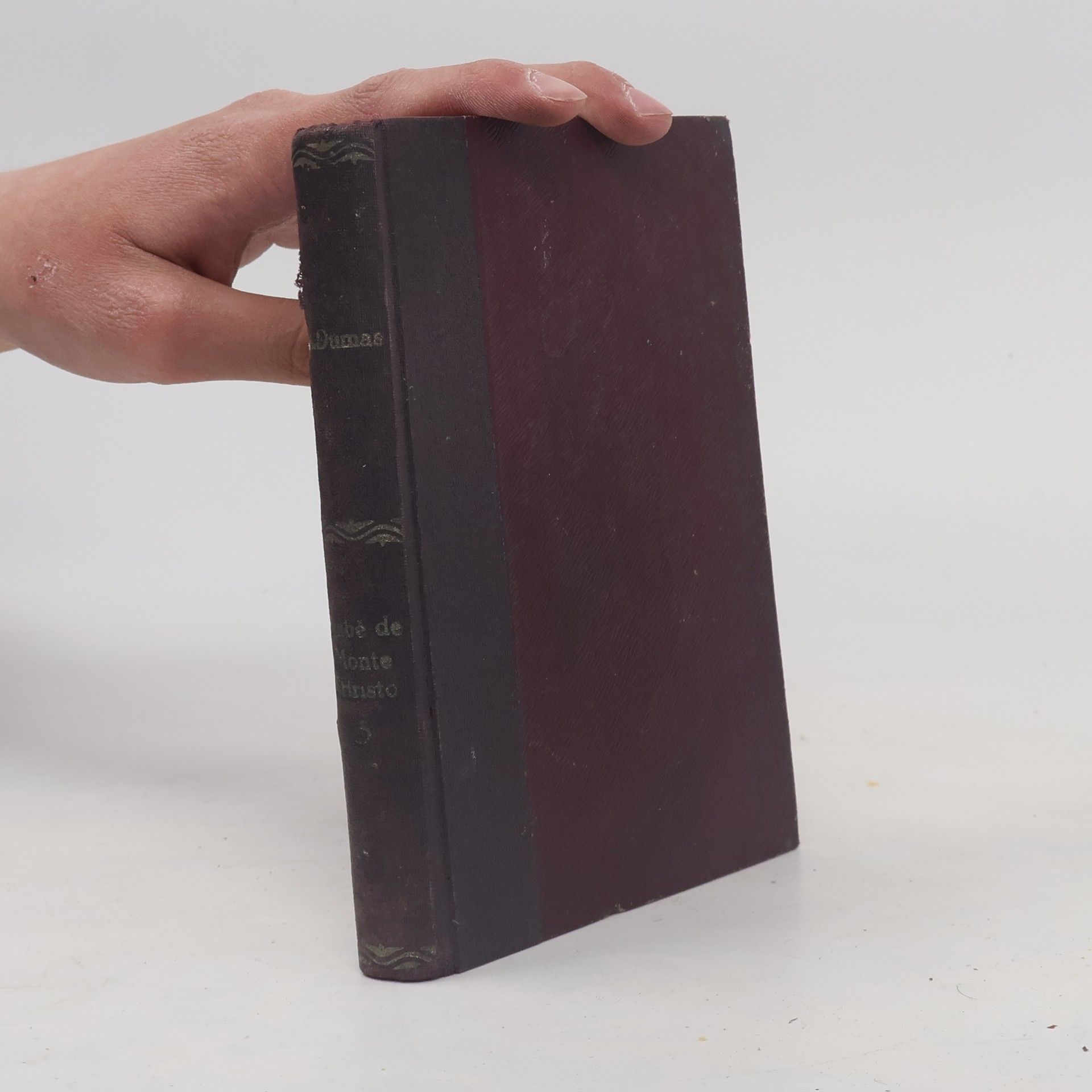 Hrabě De Monte Cristo. Díl V.