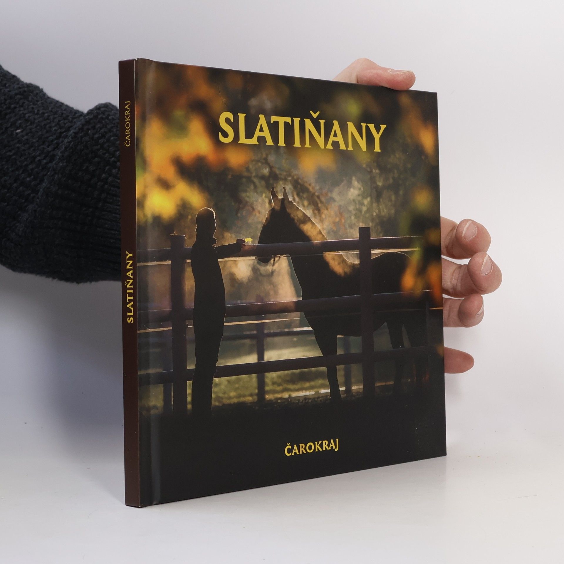 Tomáš Kubelka Slatiňany