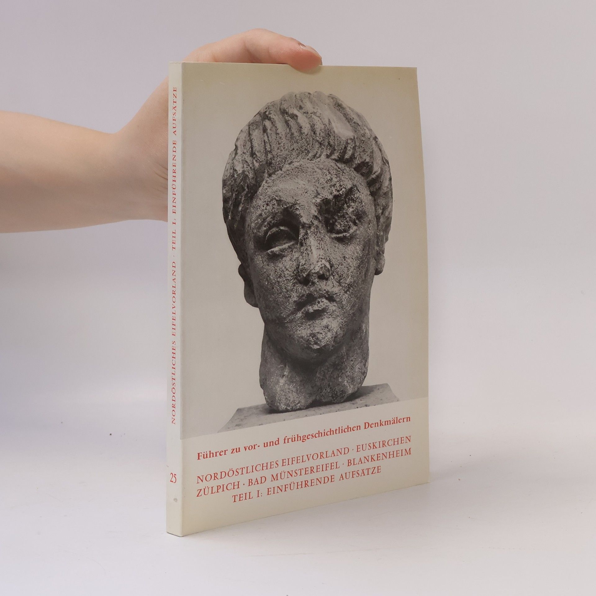 Autorenkollektiv Führer zu vor- und frühgeschichtlichen Denkmälern 25