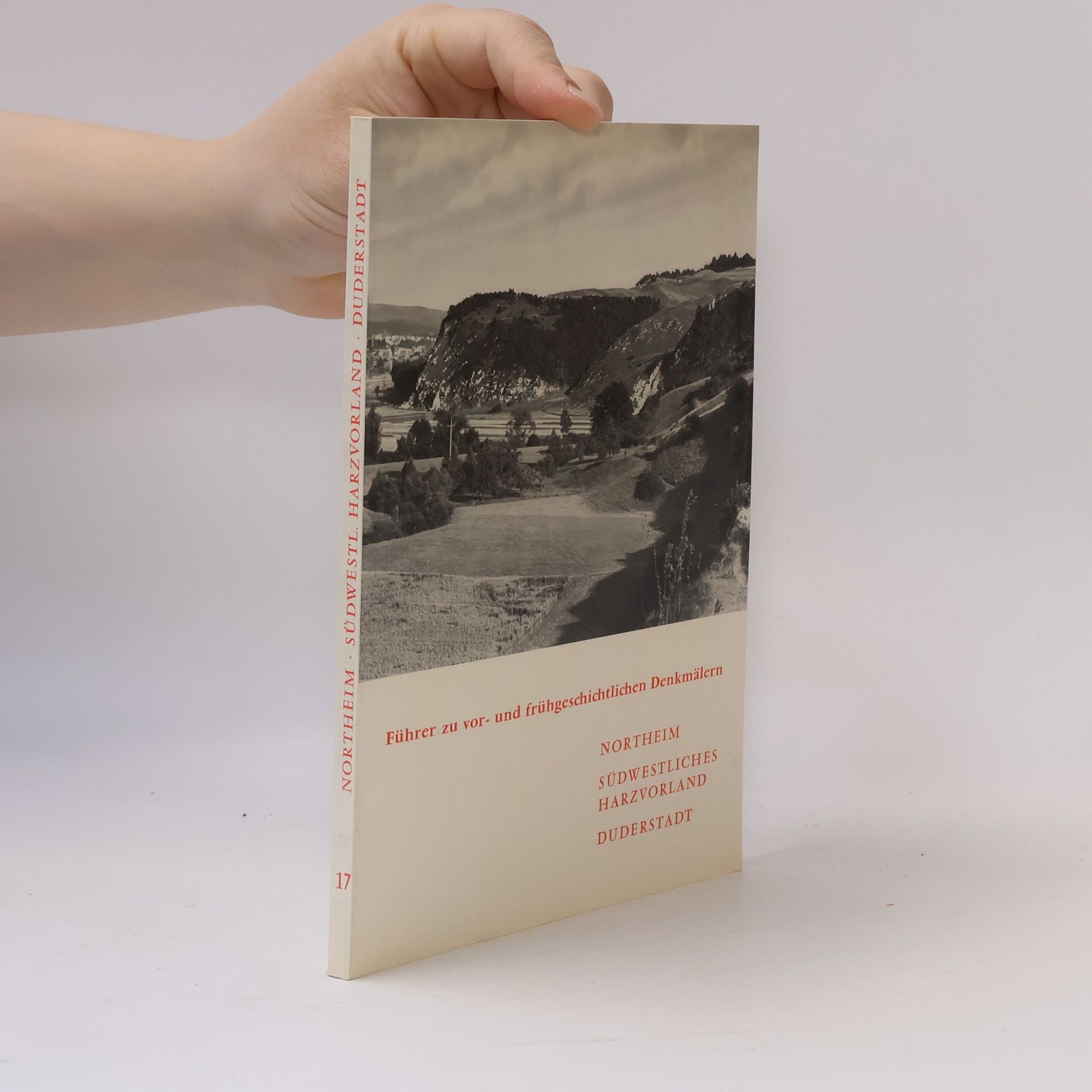 Autorenkollektiv Führer zu vor- und frühgeschichtlichen Denkmälern 17