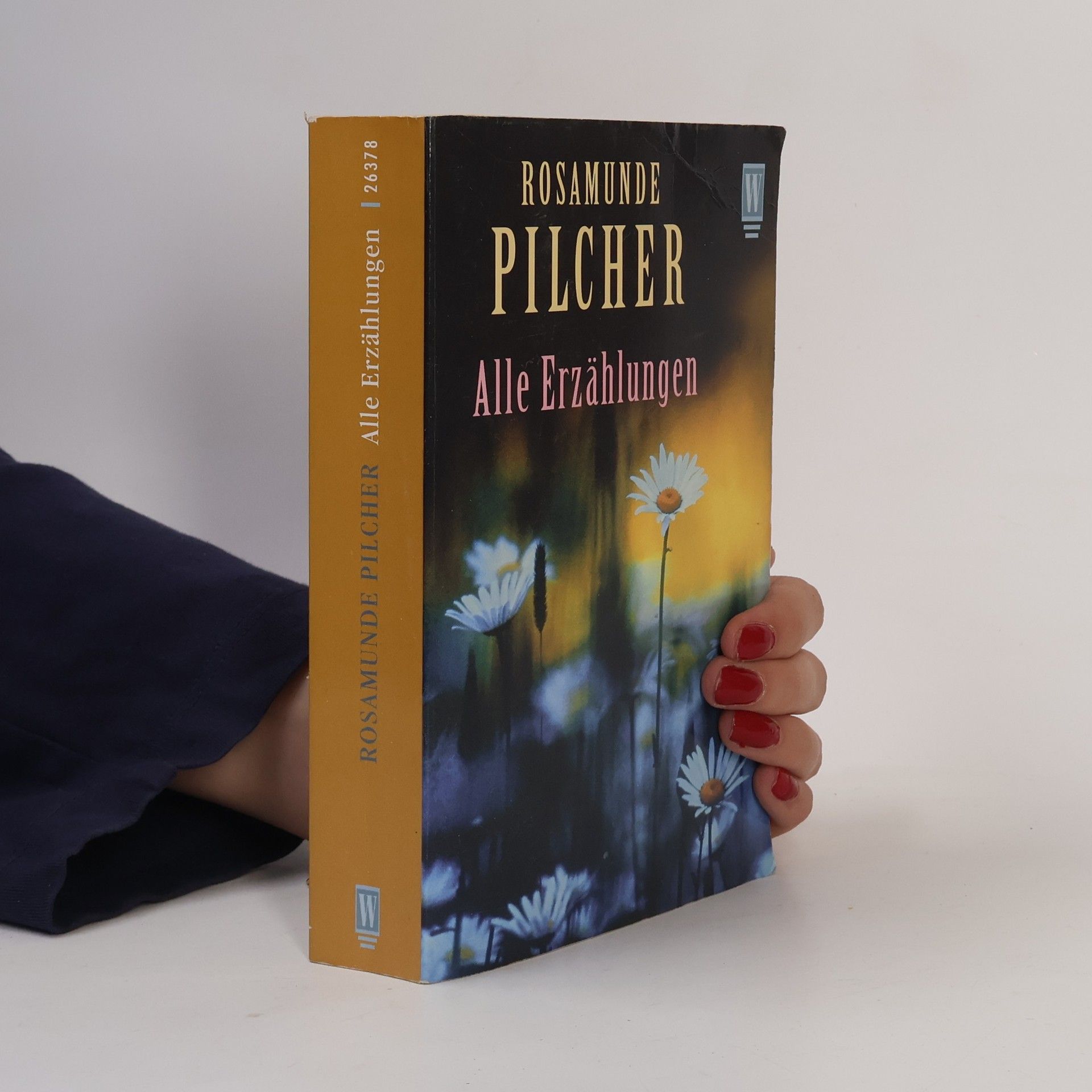 Rosamunde Pilcher Alle Erzählungen