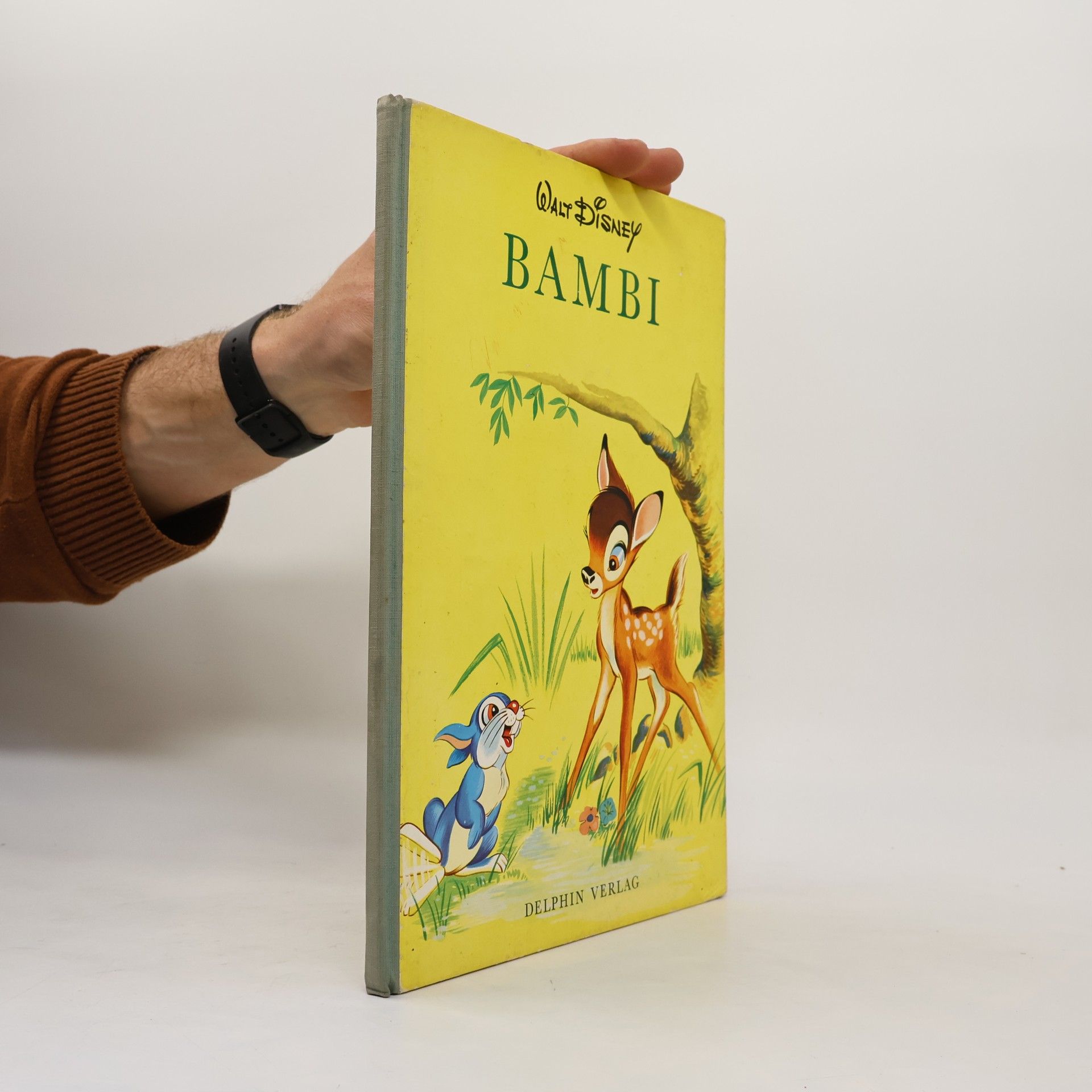 Collectif d'auteurs Bambi