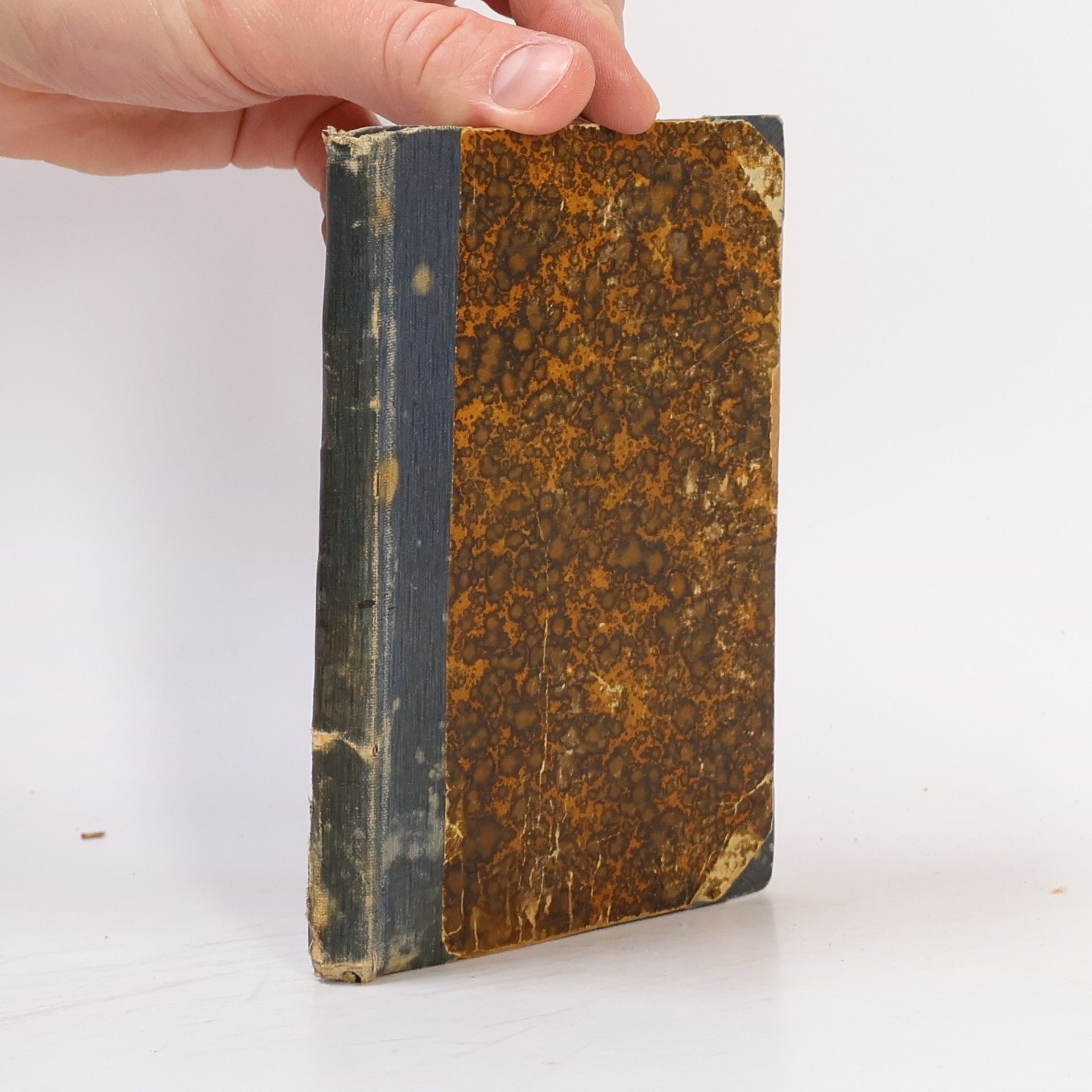 Alexandre Dumas Dáma s kameliemi