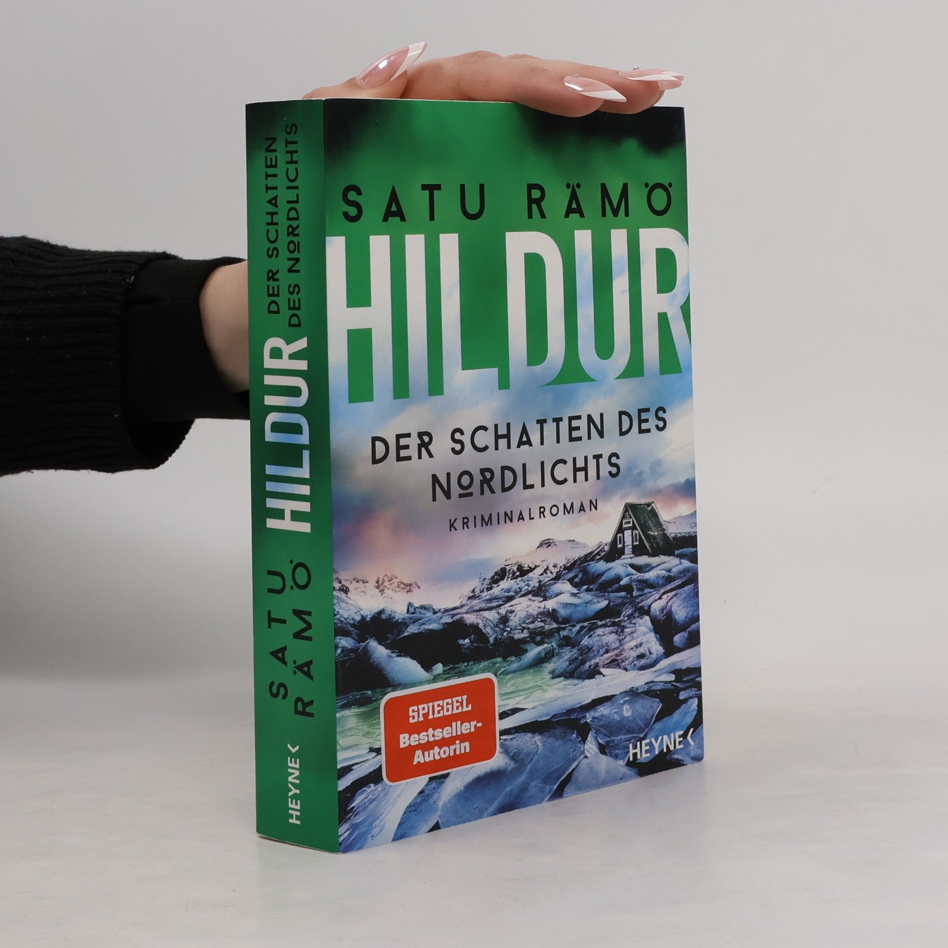 Hildur – Der Schatten des Nordlichts