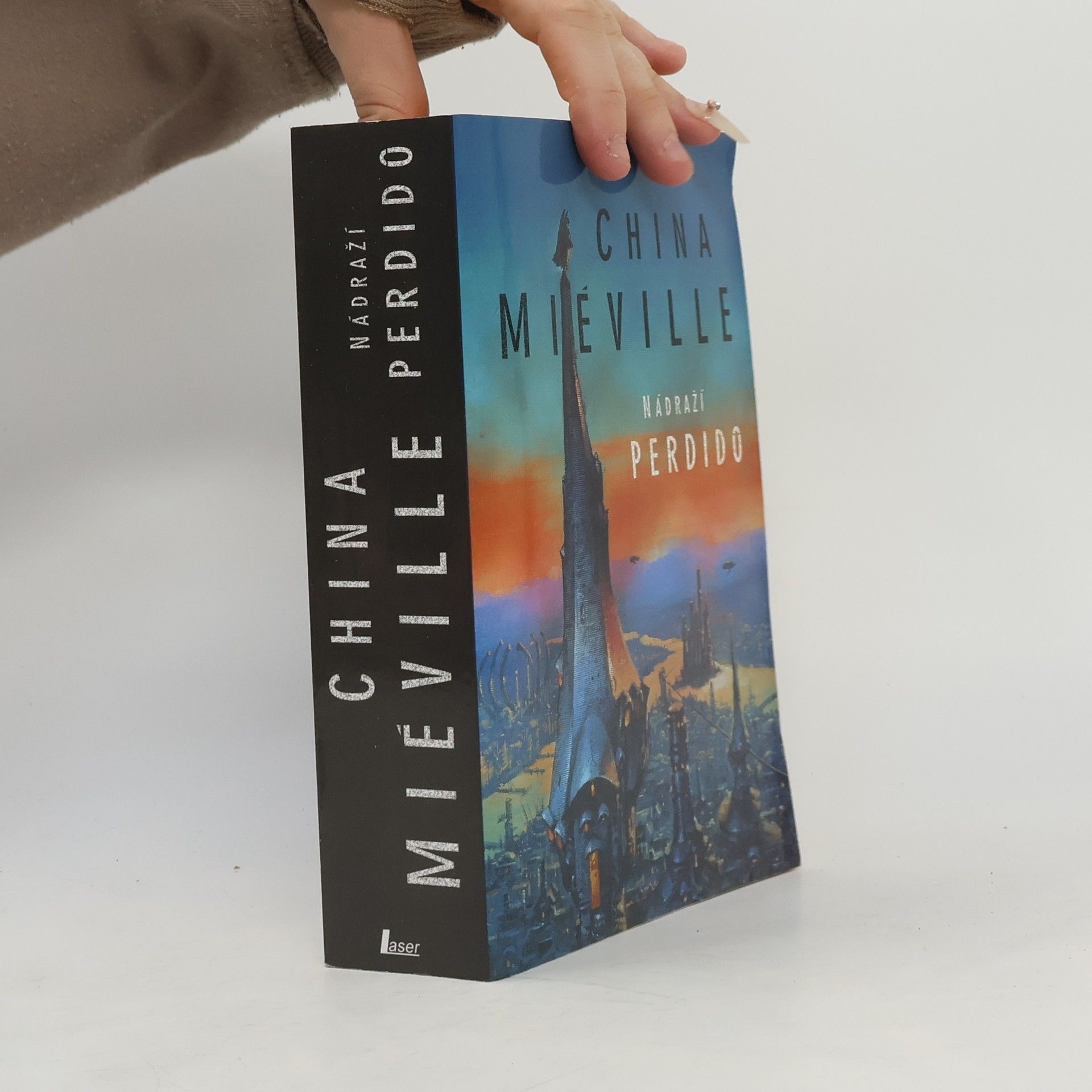 China Miéville Nádraží Perdido