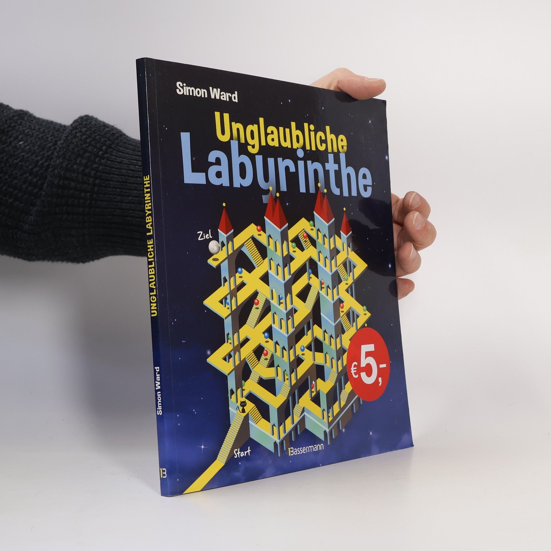 Simon Ward Unglaubliche Labyrinthe