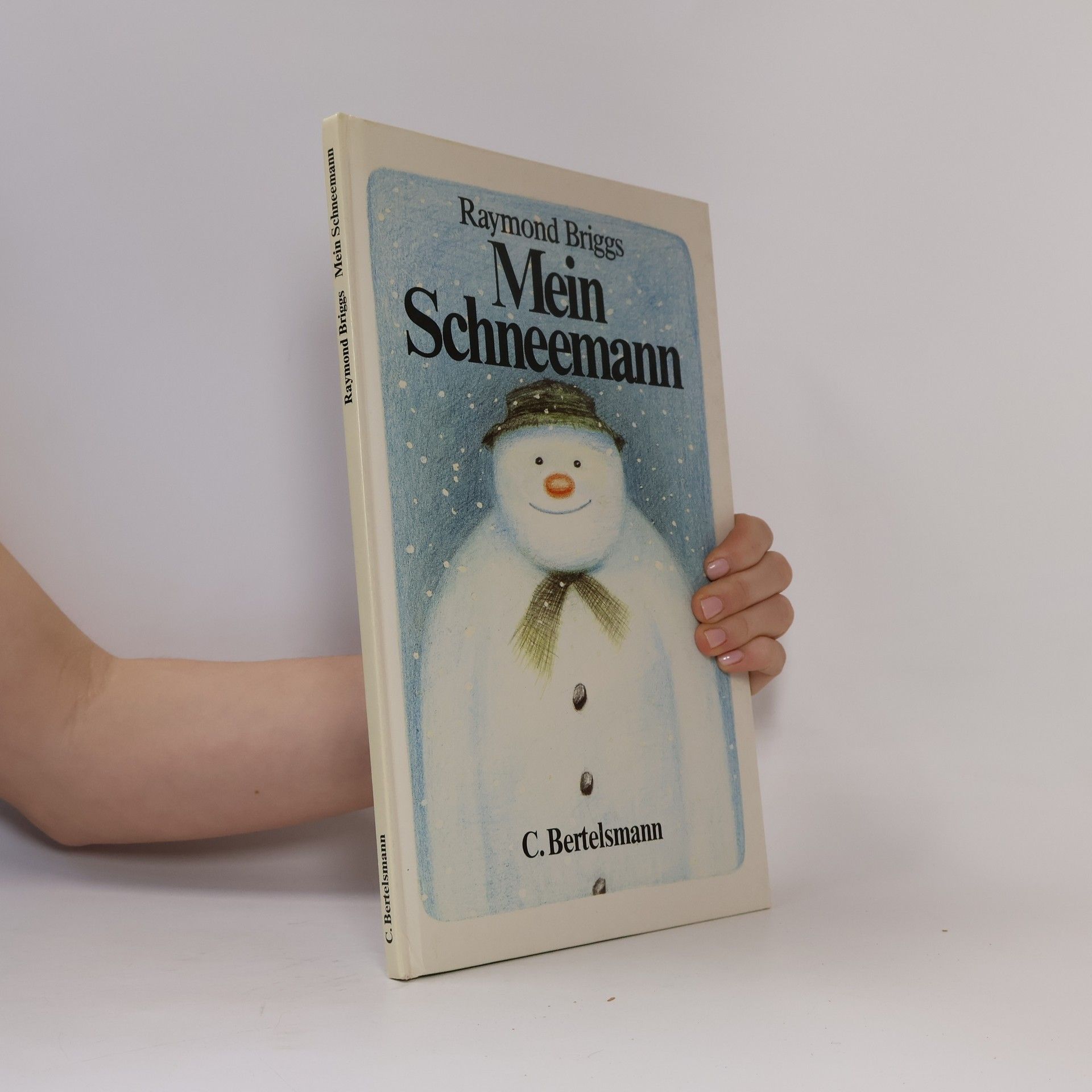 Raymond Briggs Mein Schneemann