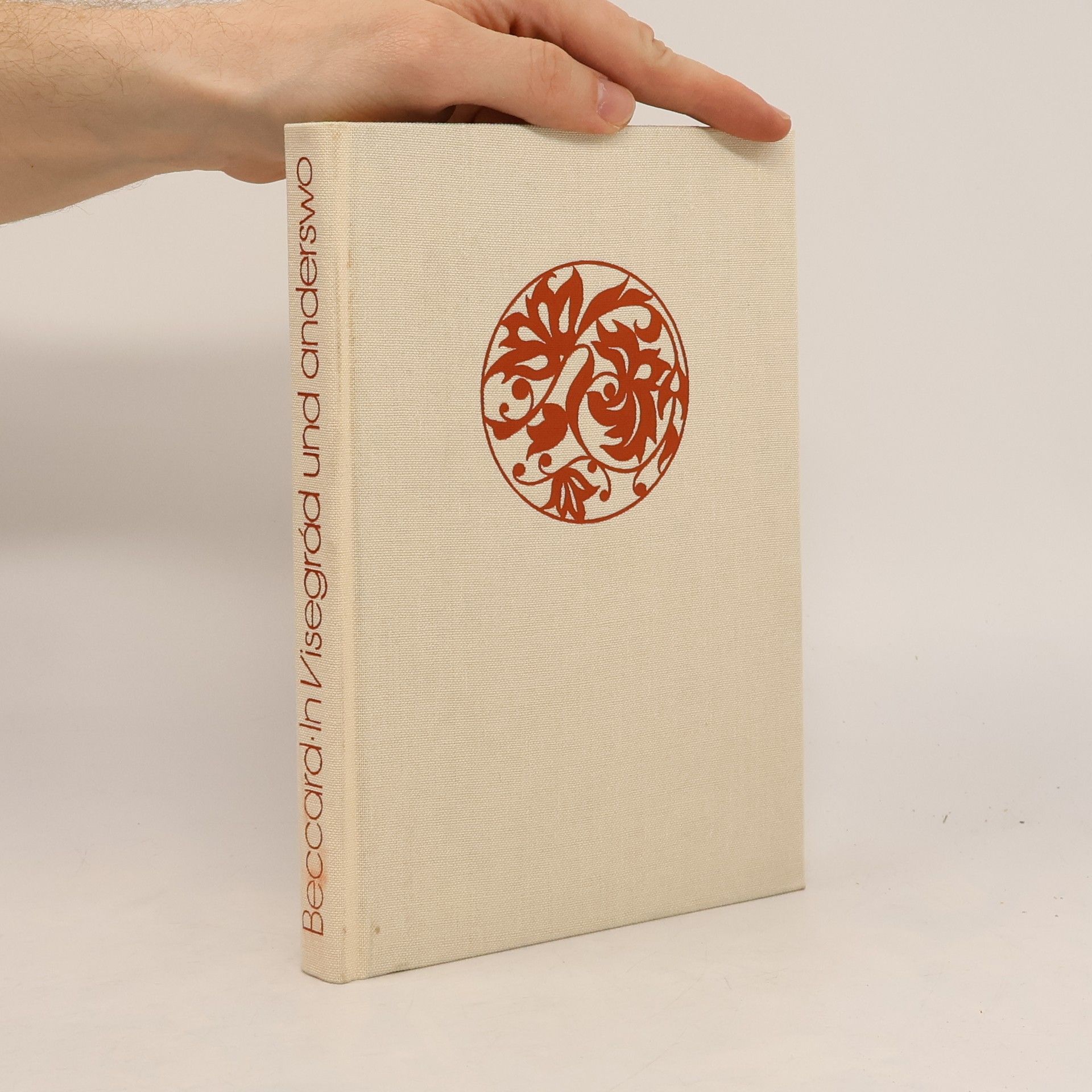 Harry Beccard In Visegrád und anderswo