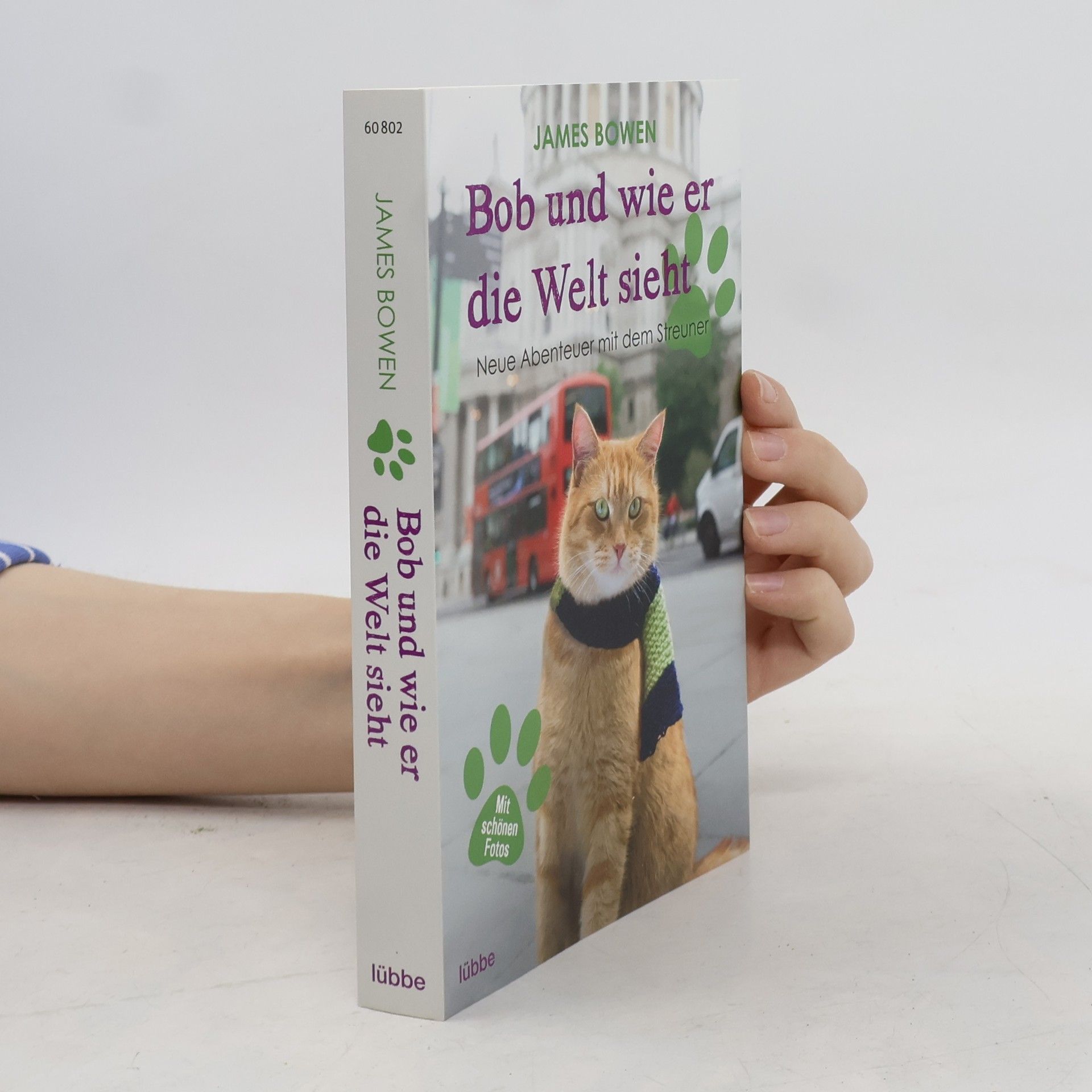 James Bowen Bob und wie er die Welt sieht