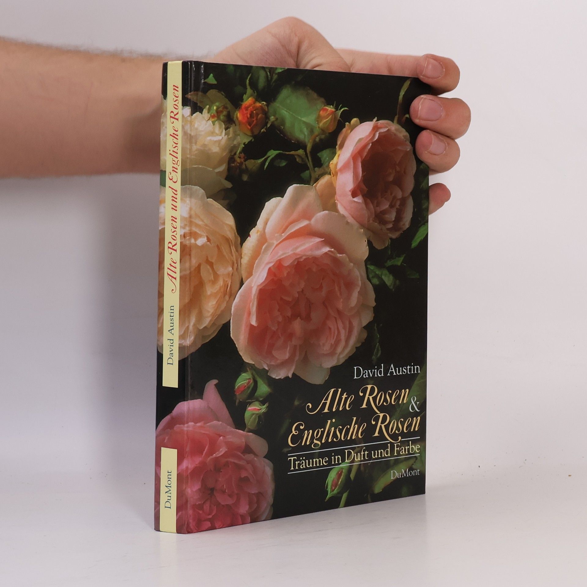 David Austin Alte Rosen und Englische Rosen