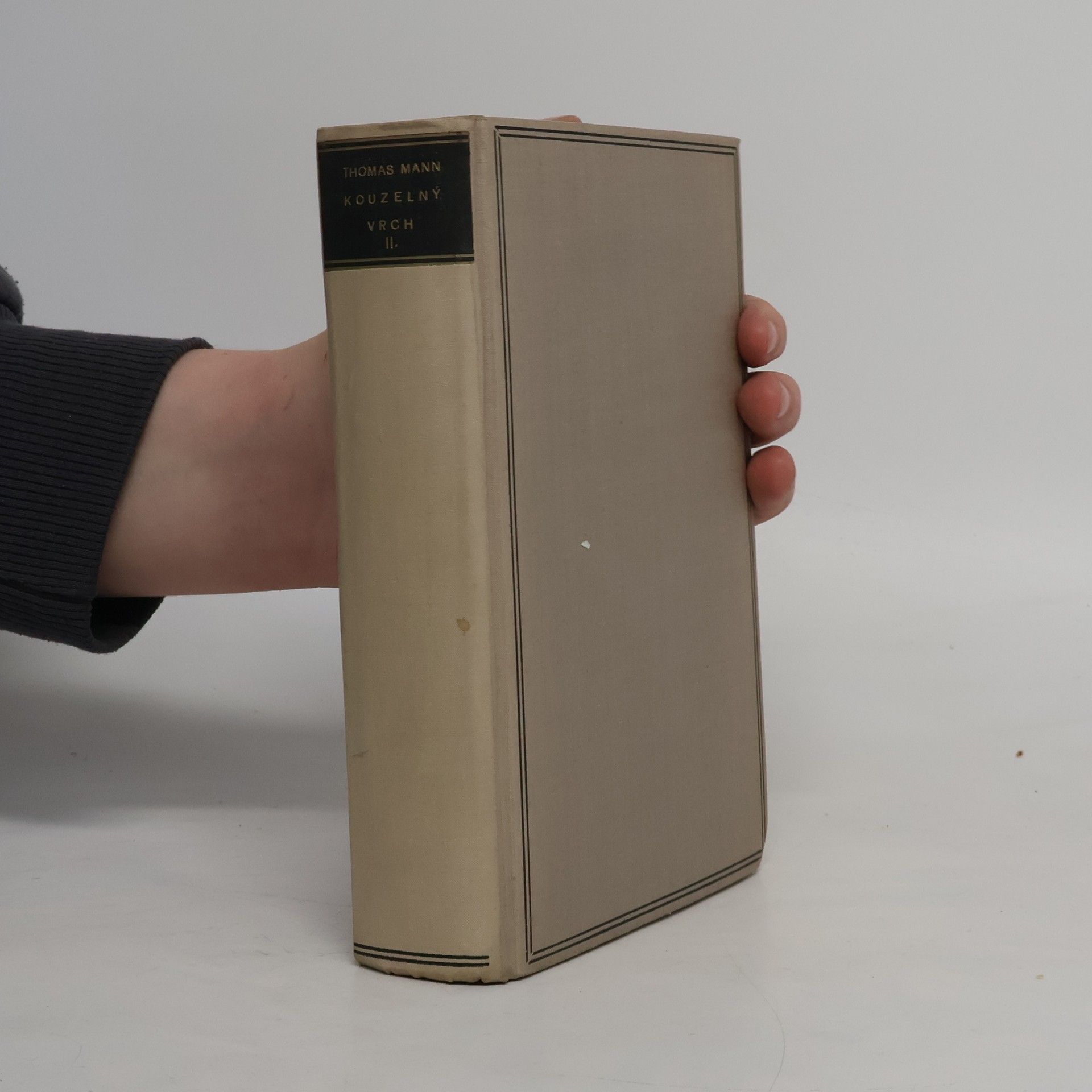 Thomas Mann Kouzelný vrch II