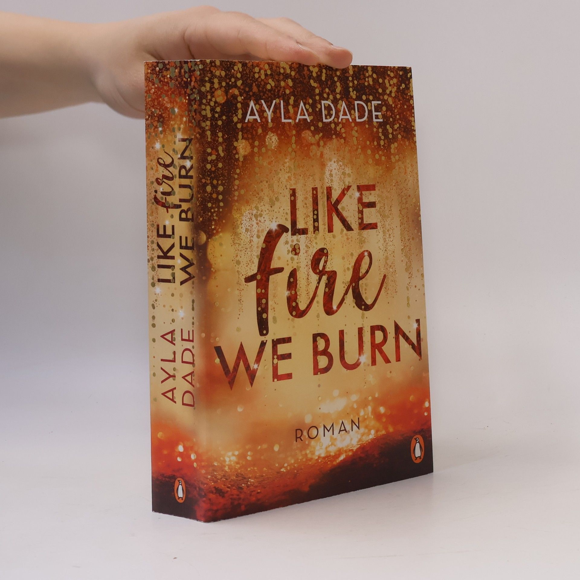 Ayla Dade Like Fire We Burn