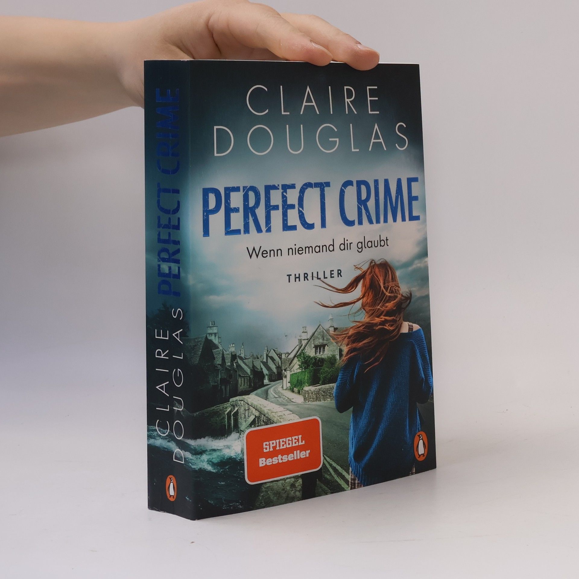 Claire Douglas Perfect Crime