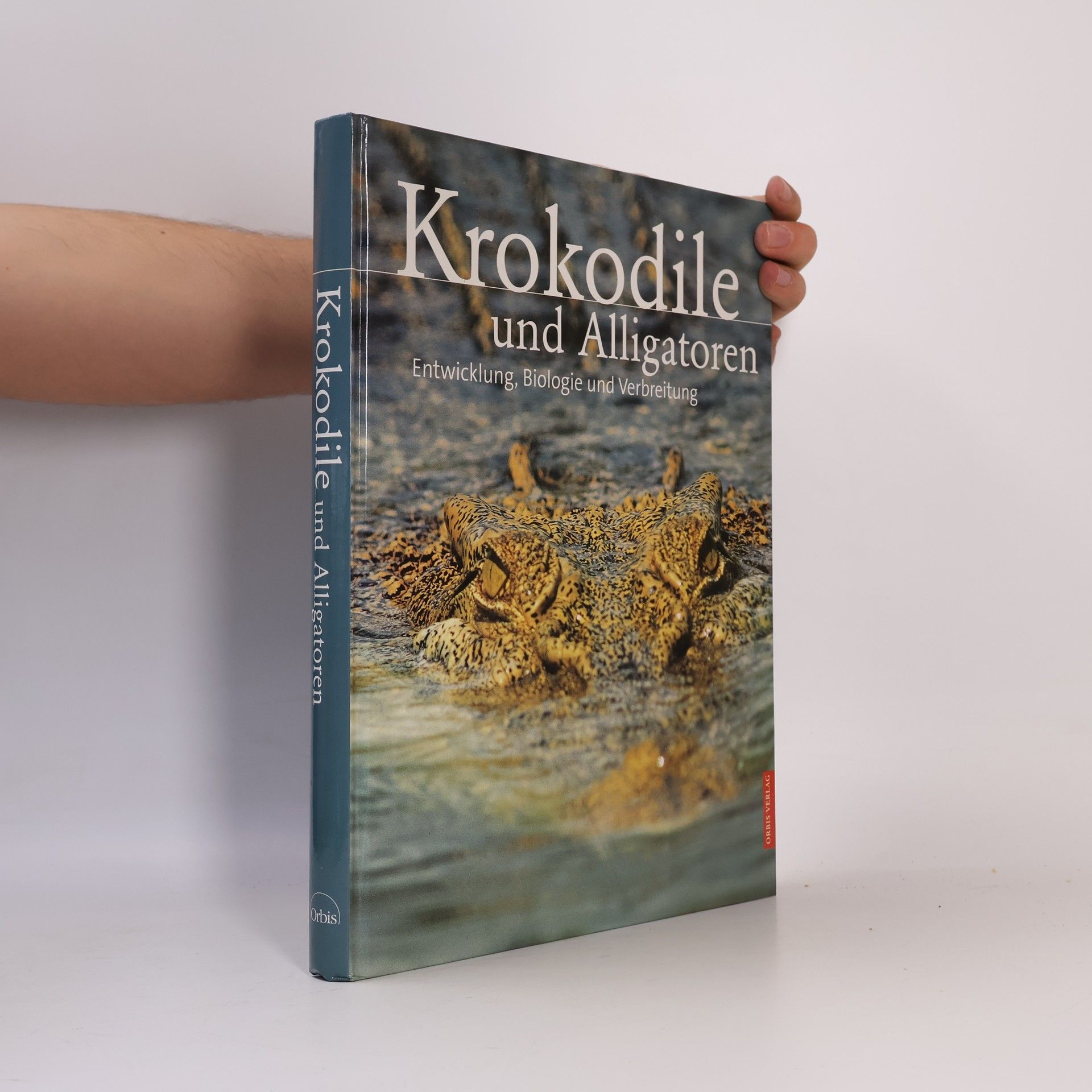 Krokodile und Alligatoren