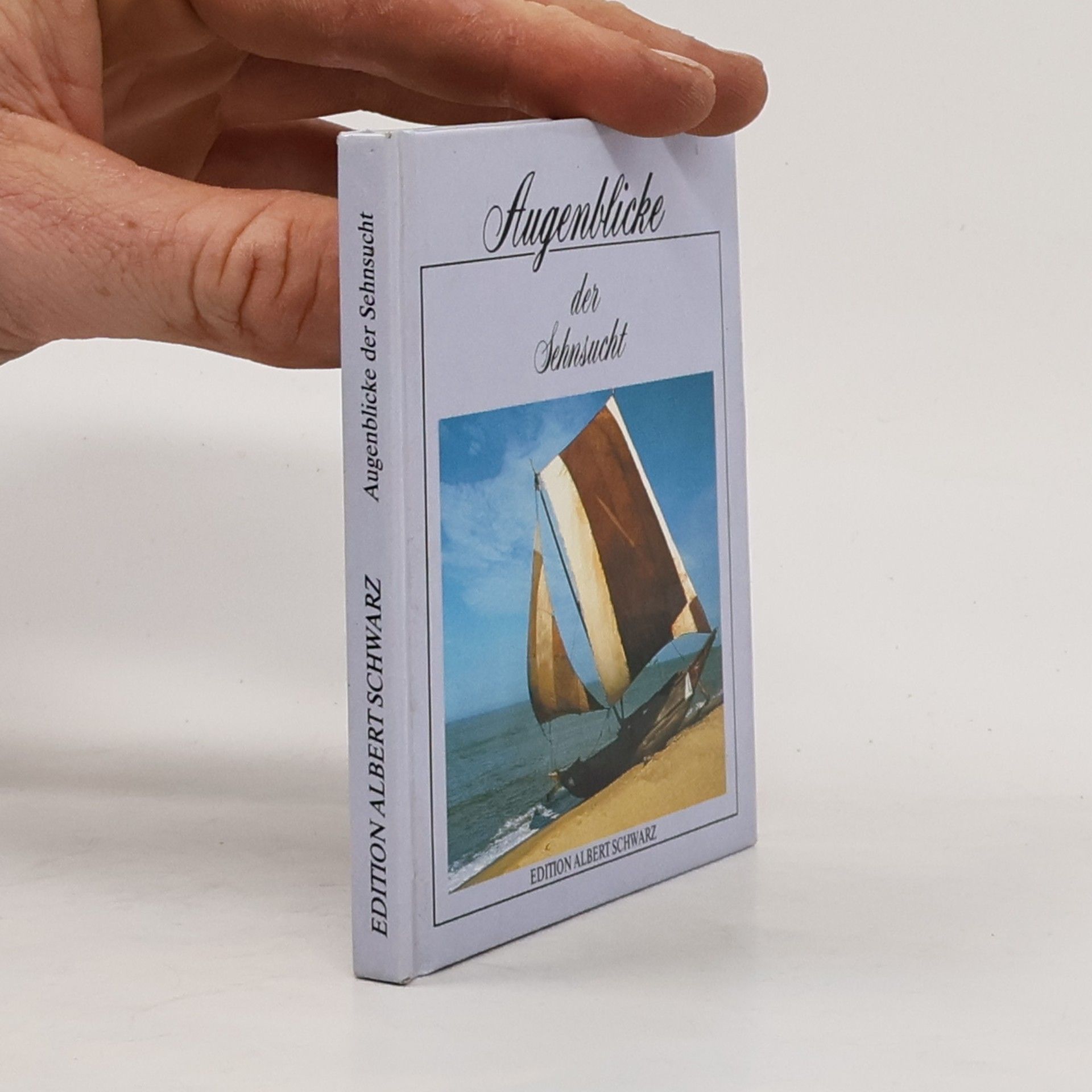 Kolektív autorov Augenblicke der Sehnsucht