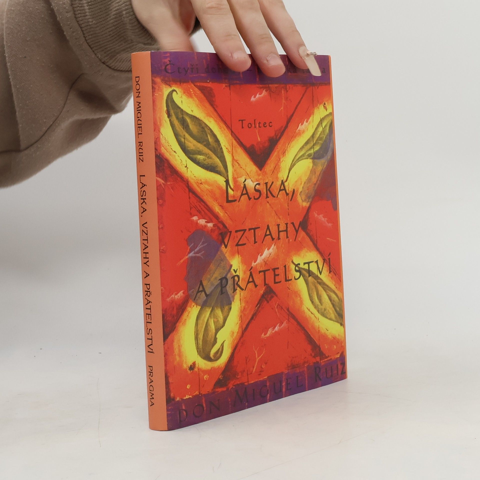 Don Miguel Ruiz Láska, vztahy a přátelství