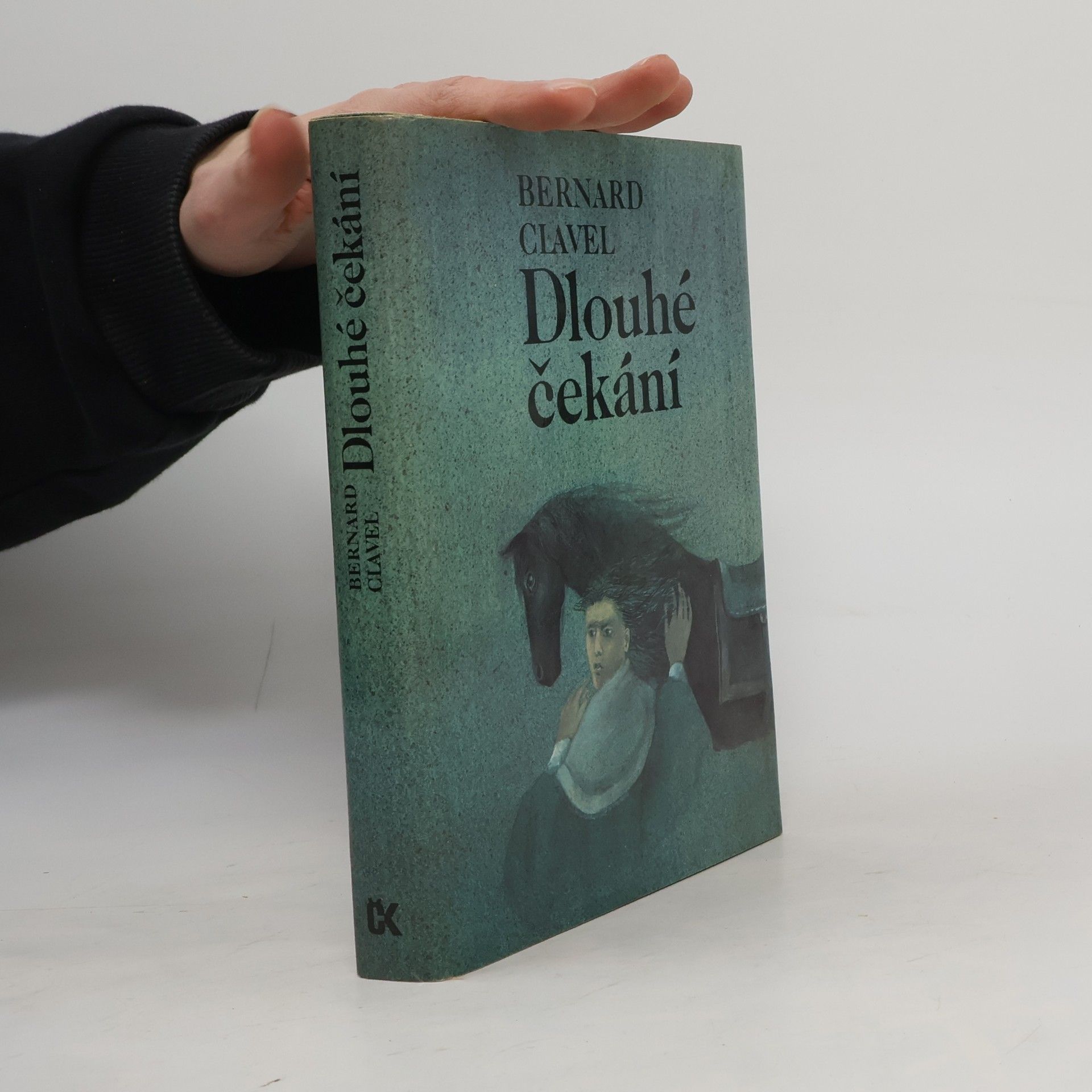 Dlouhé čekání