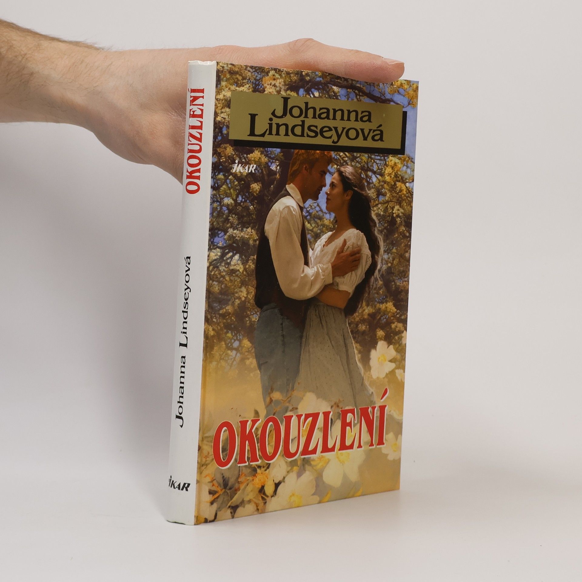 Johanna Lindsey Okouzlení