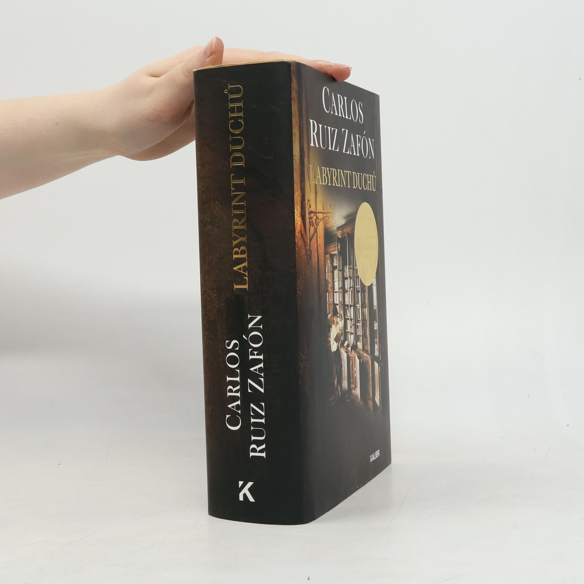 Carlos Ruiz Zafón Labyrint duchů