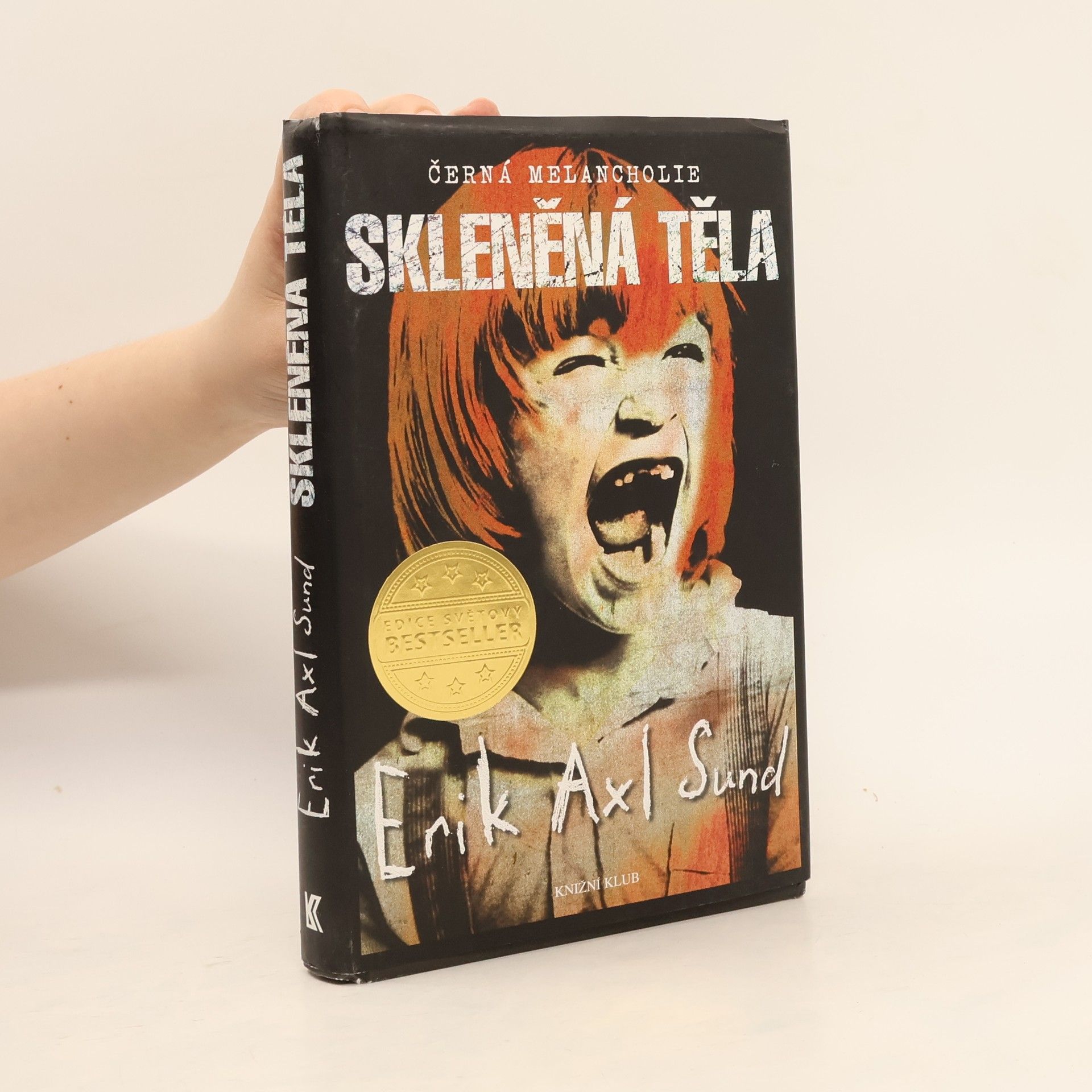 Erik Axl Sund Skleněná těla. Černá melancholie