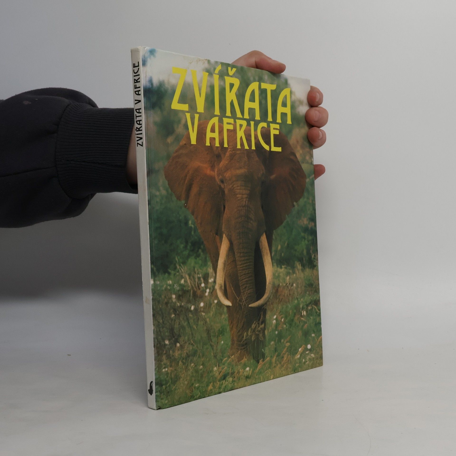 Josef Vágner Zvířata v Africe