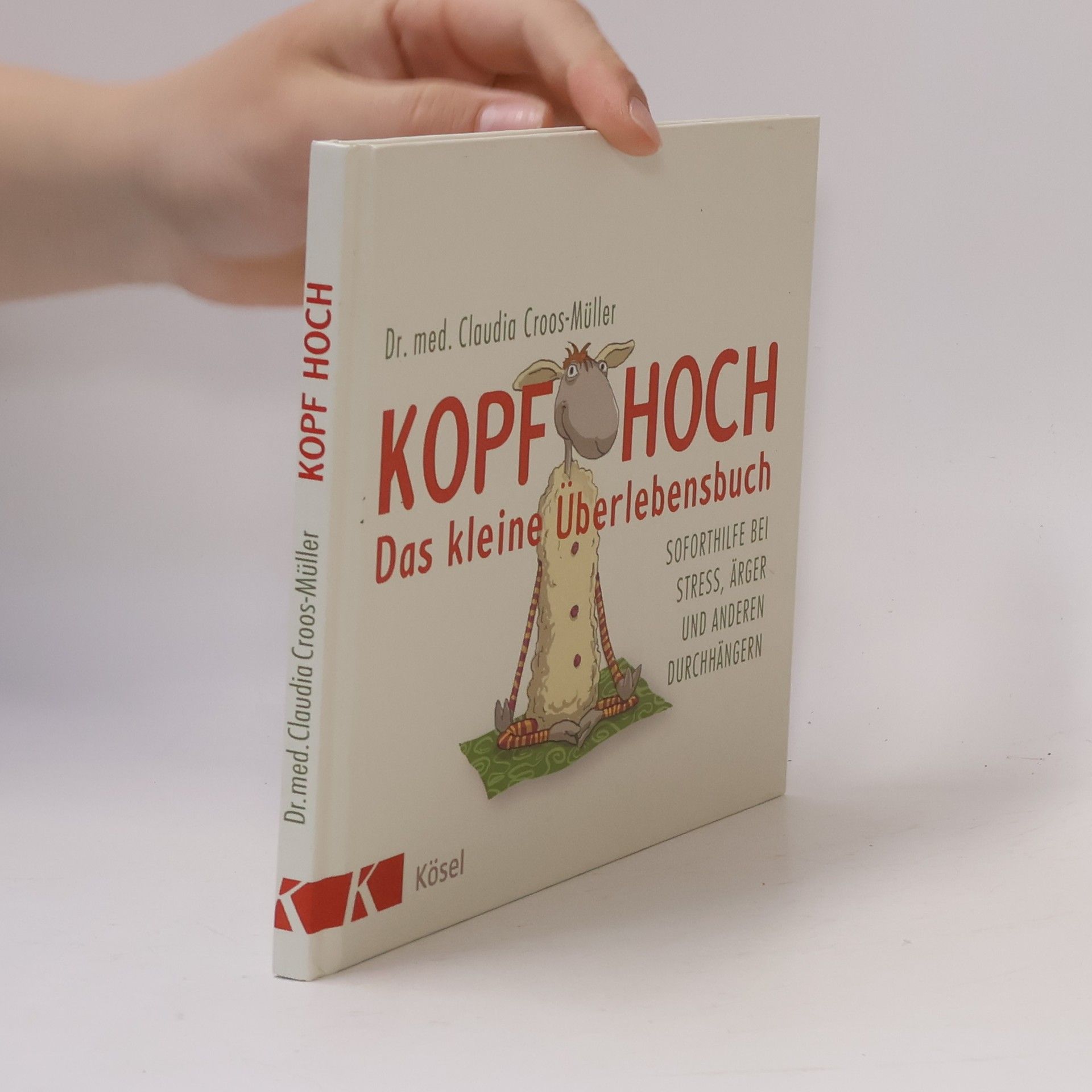 Claudia Croos-Müller Kopf hoch - das kleine Überlebensbuch