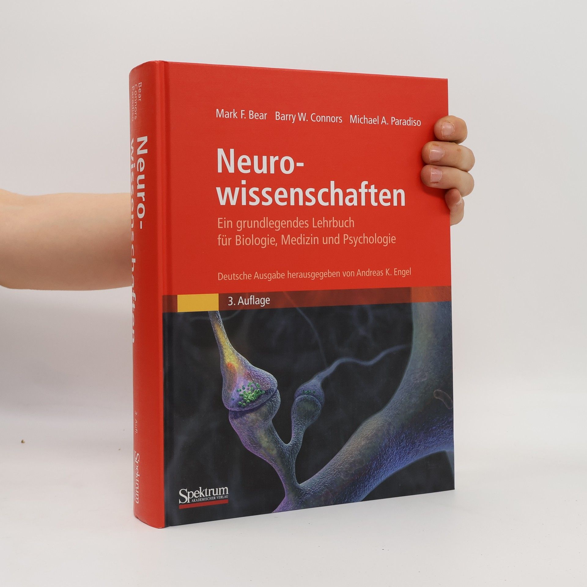 Mark F. Bear Neurowissenschaften
