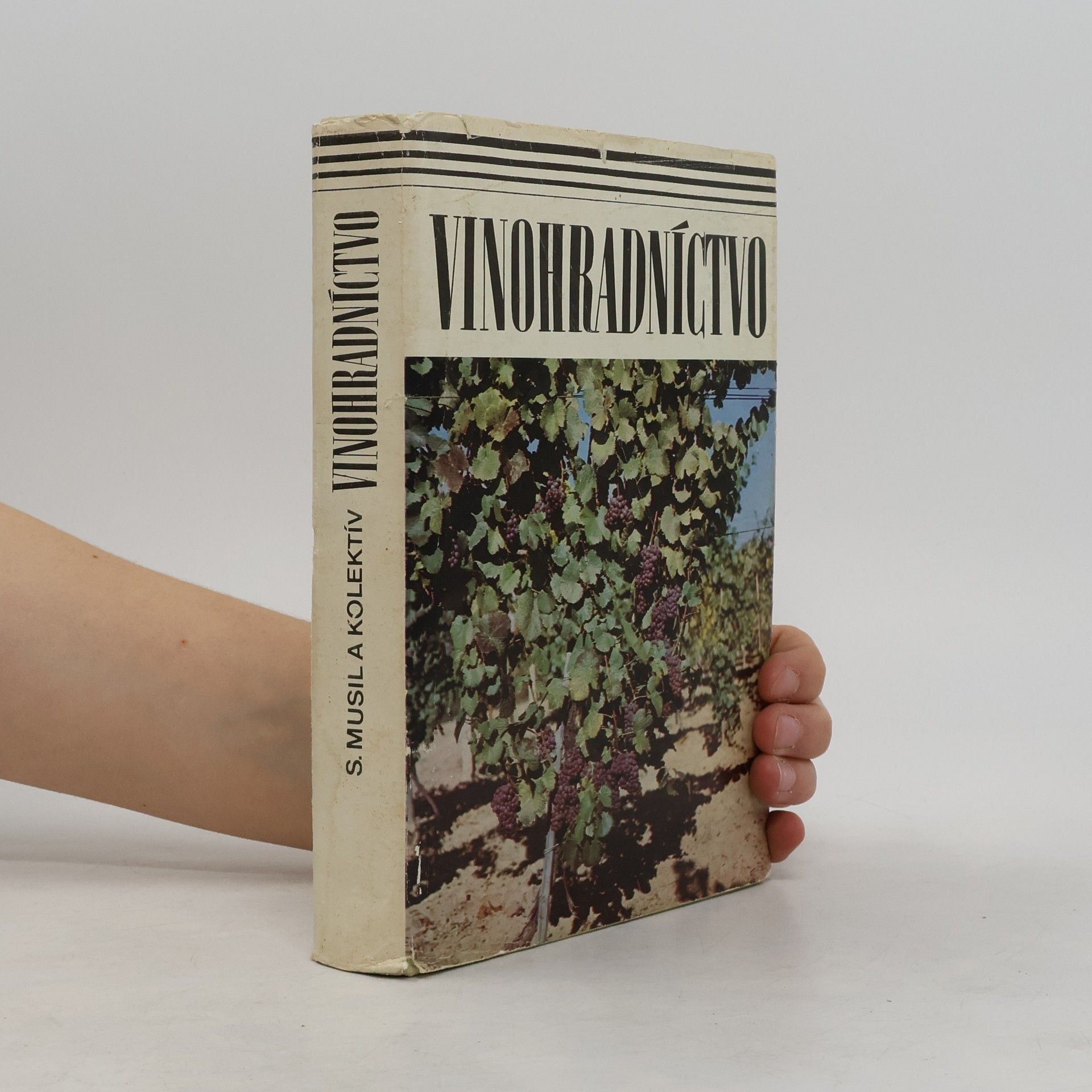 Stanislav Musil Vinohradníctvo