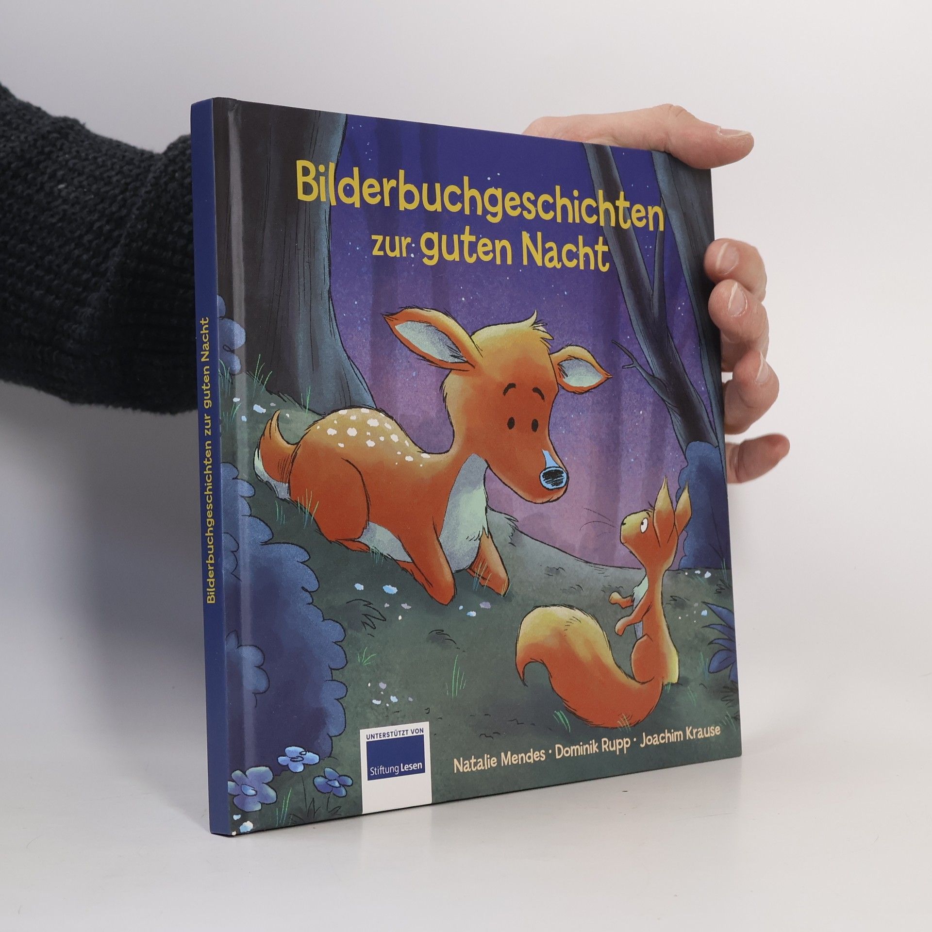 Bilderbuchgeschichten zur guten Nacht 