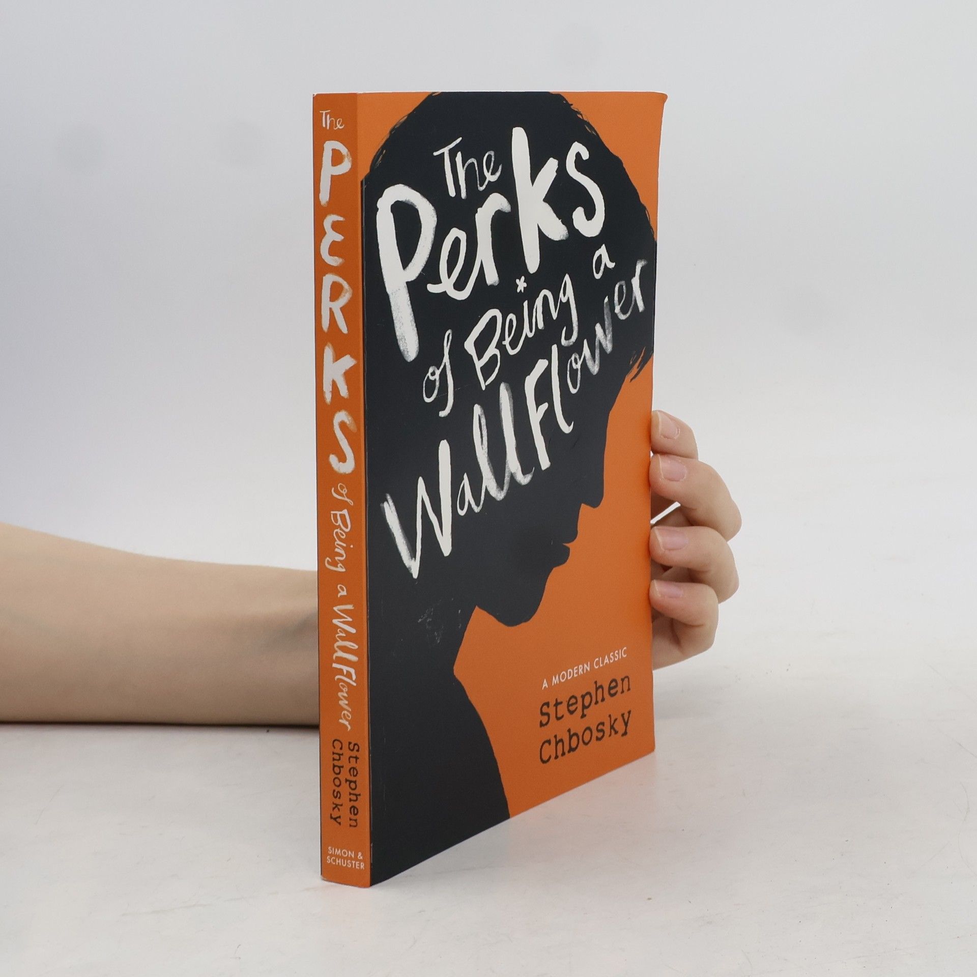 Stephen Chbosky The Perks of Being a Wallflower