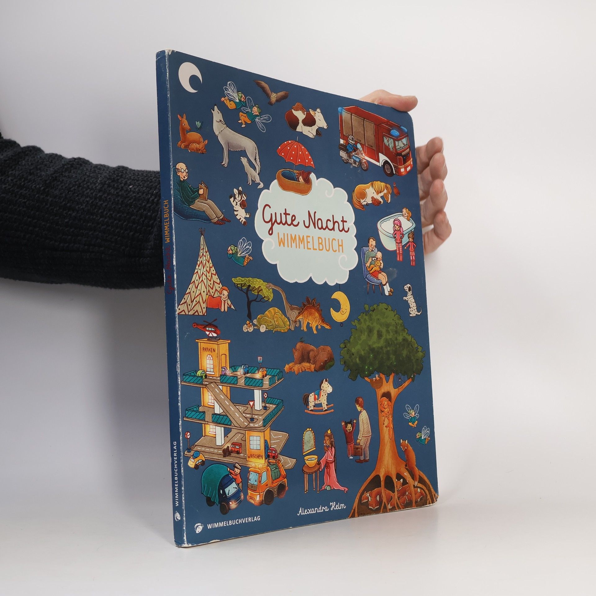 Alexandra Helm Gute Nacht Wimmelbuch
