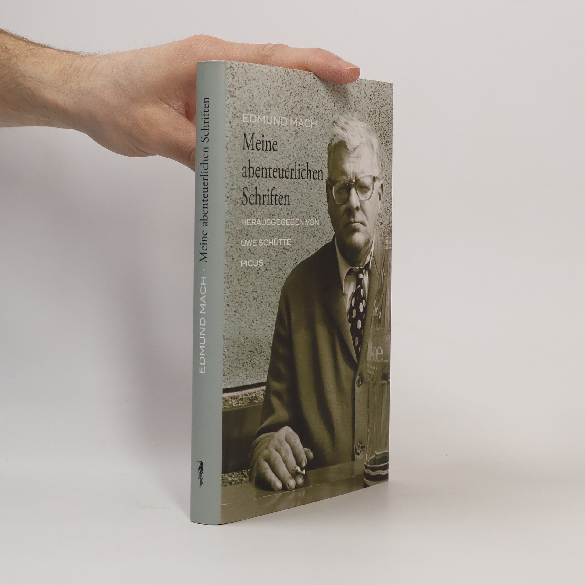 Edmund Mach Meine abenteuerlichen Schriften. Gedichte und Prosa 1965–1996