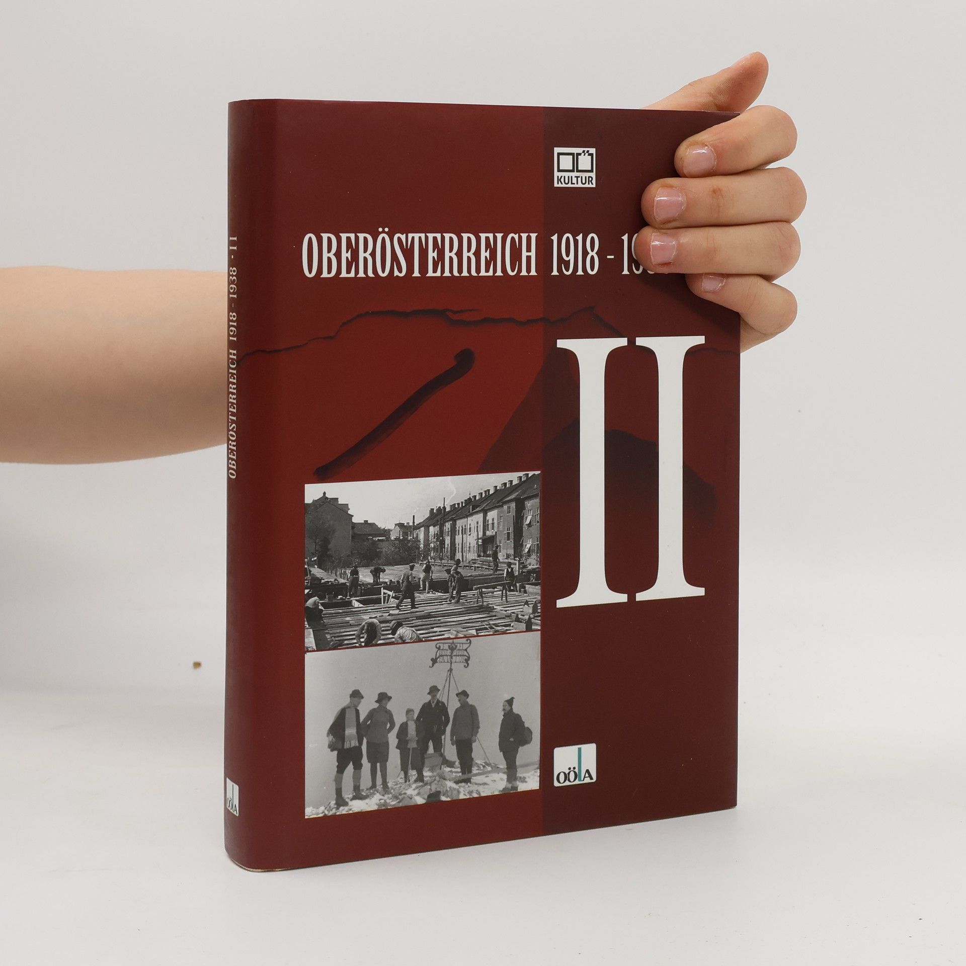 Friedrich Idam Oberösterreich 1918-1938