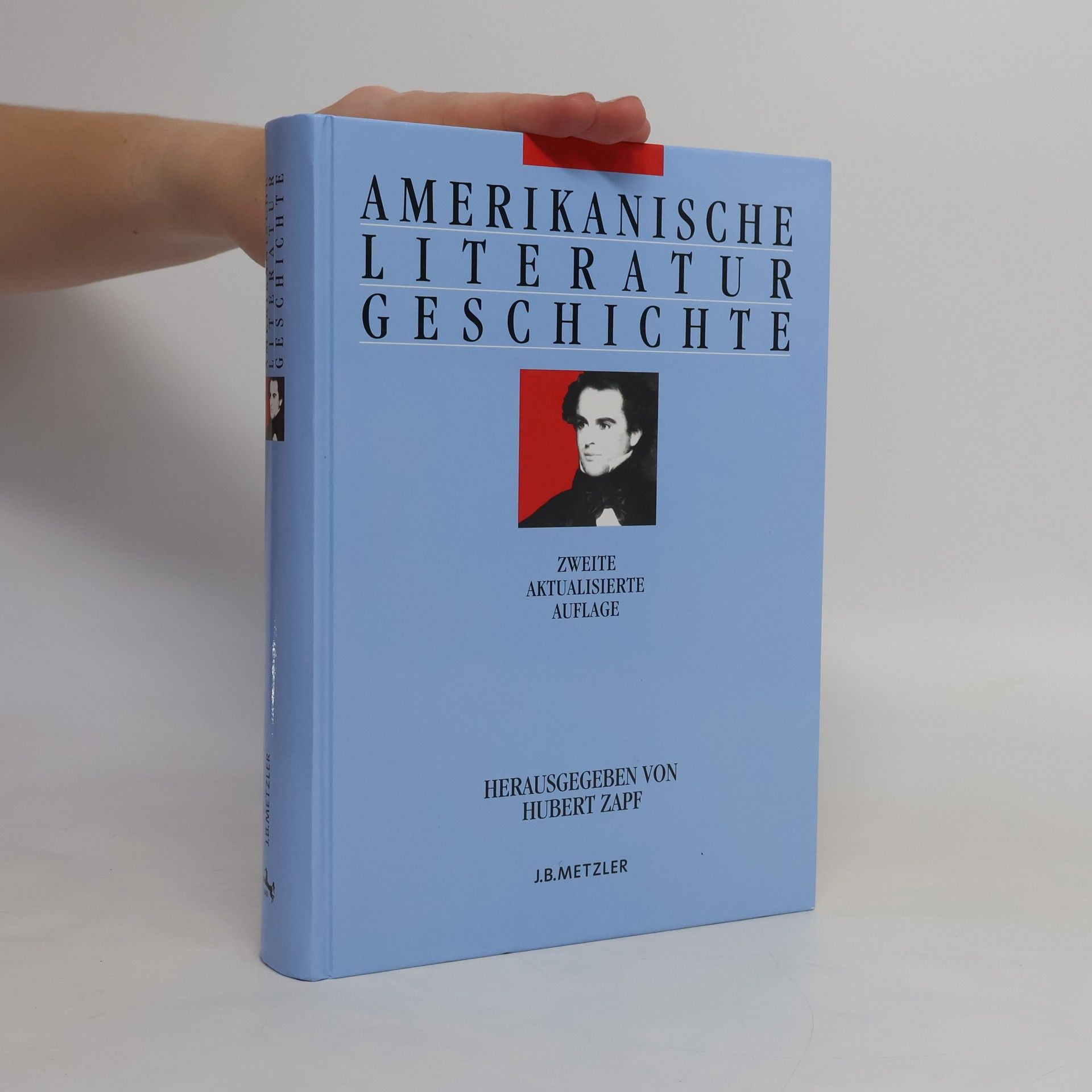 Hubert Zapf Amerikanische Literaturgeschichte
