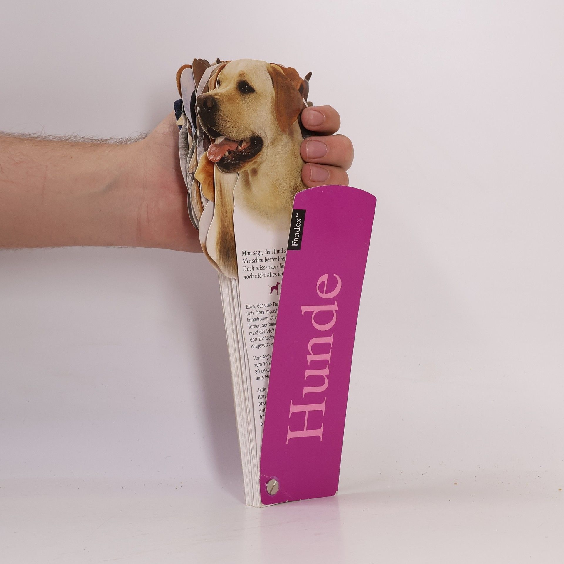 Fandex: Hunde