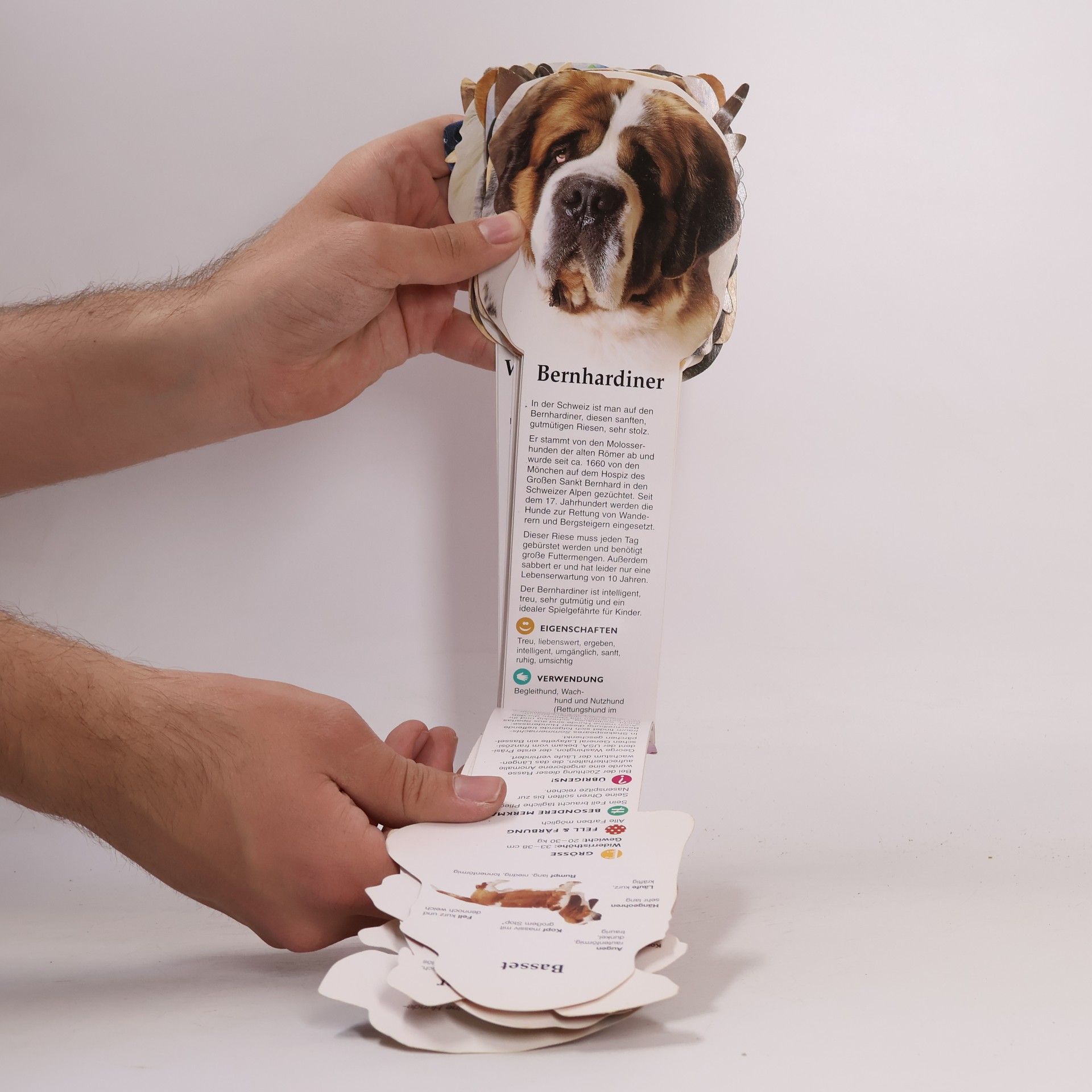 Fandex: Hunde
