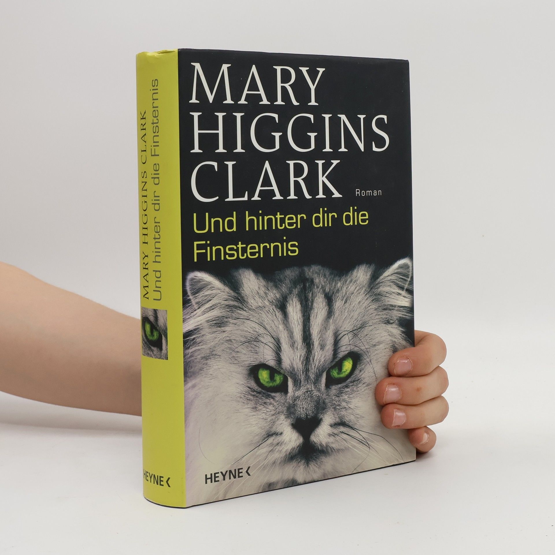 Mary Higgins Clark Und hinter dir die Finsternis