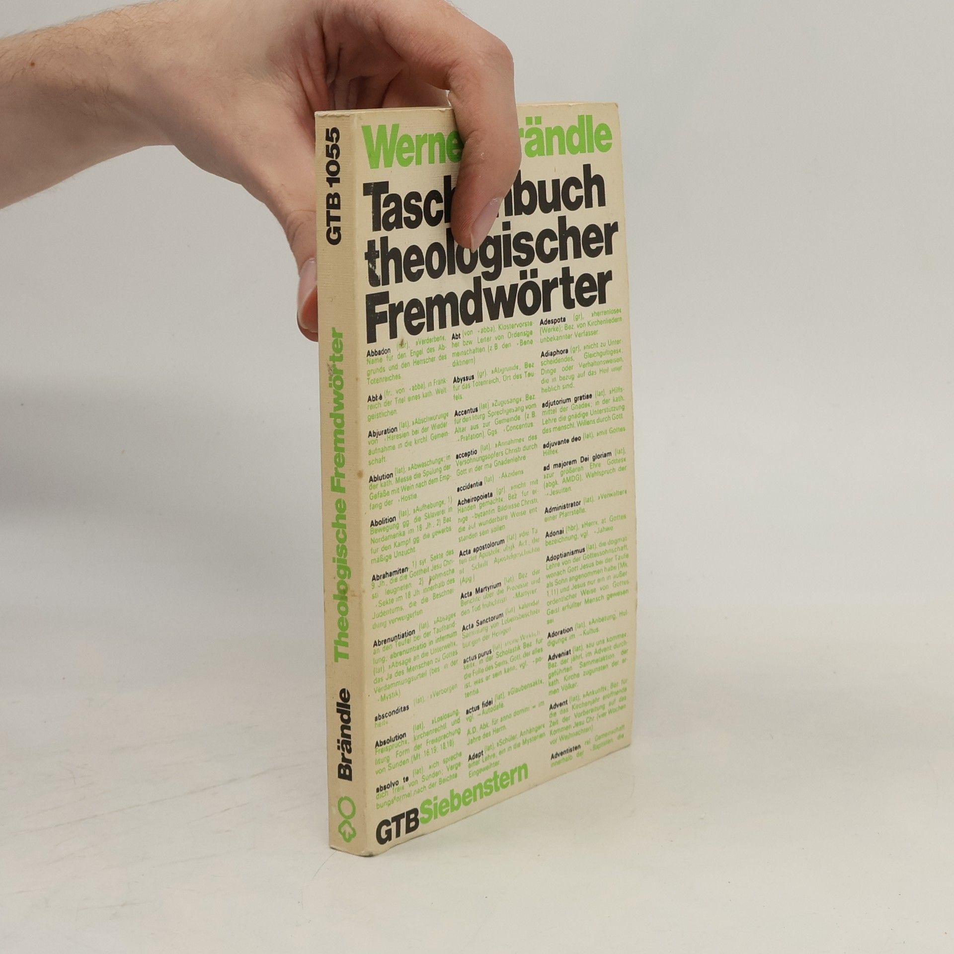 Werner Brändle Taschenbuch theologischer Fremdwörter