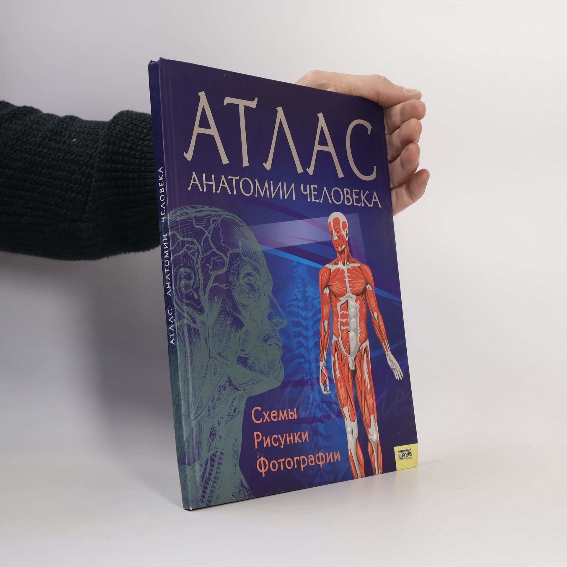 Auteurscollectief Атлас анатомии человека