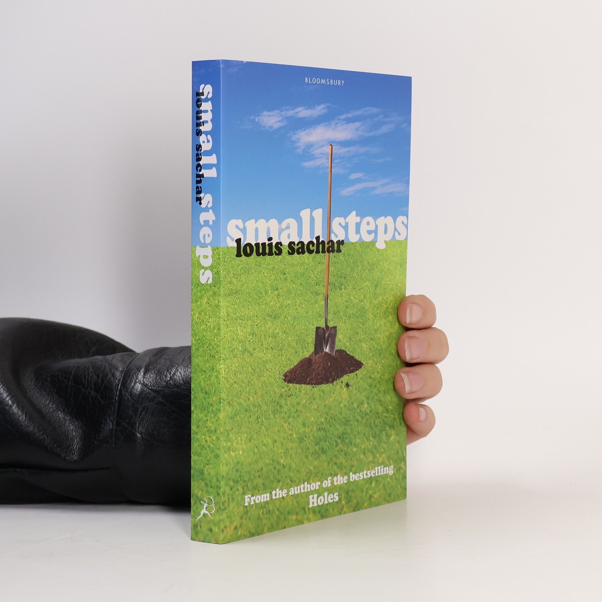 Louis Sachar Small steps