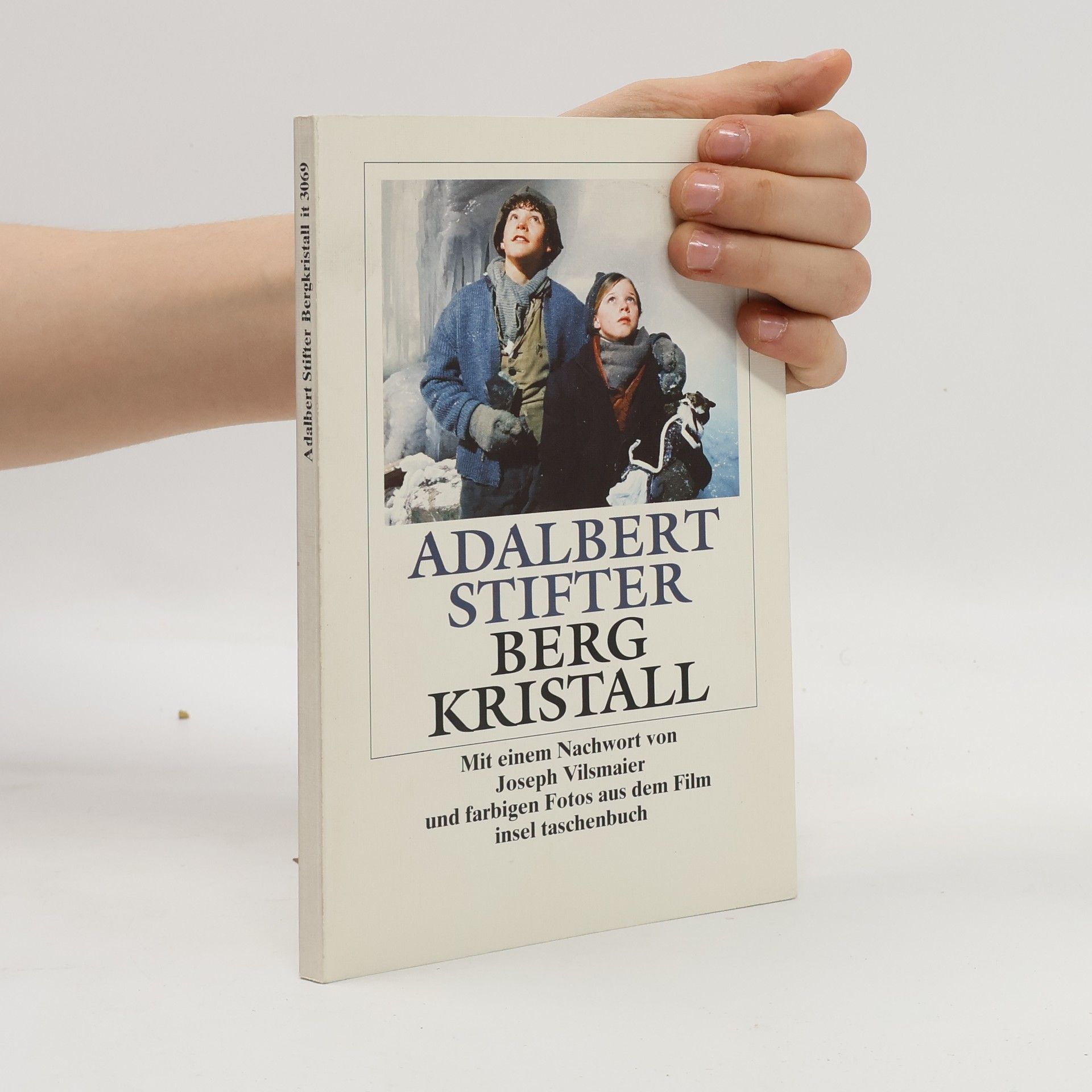 Insel Taschenbuch - 3069: Bergkristall