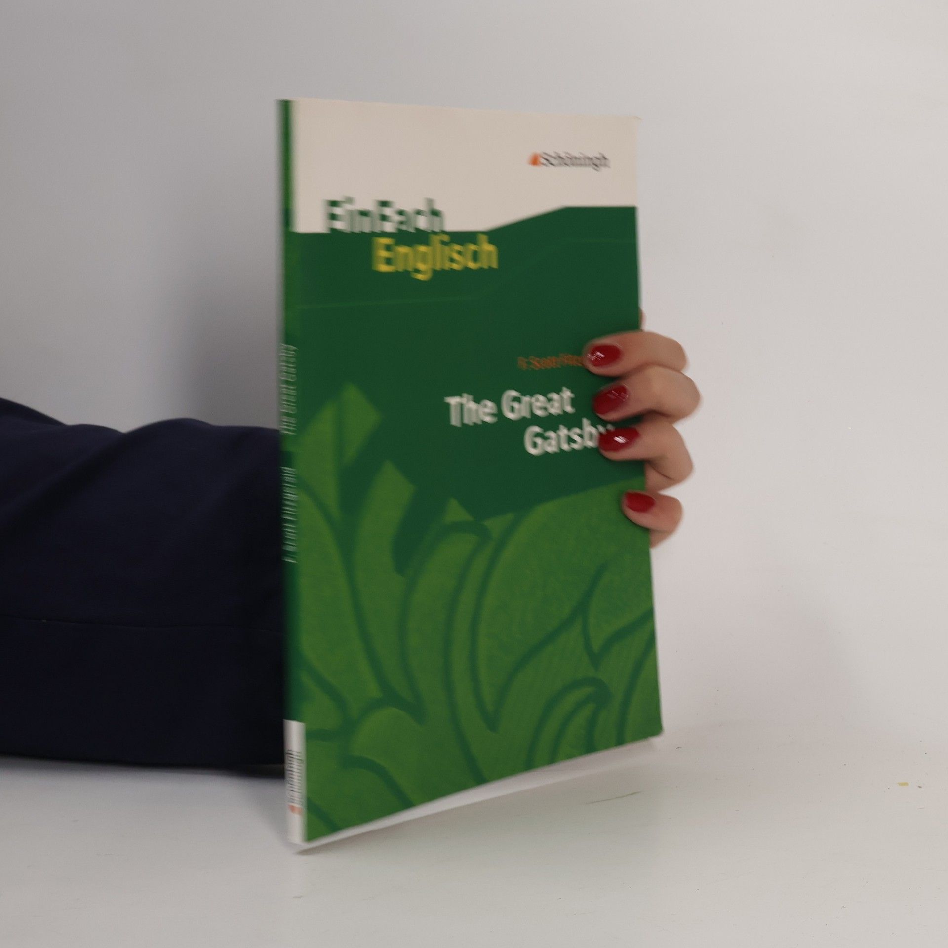 Francis Scott Fitzgerald The Great Gatsby