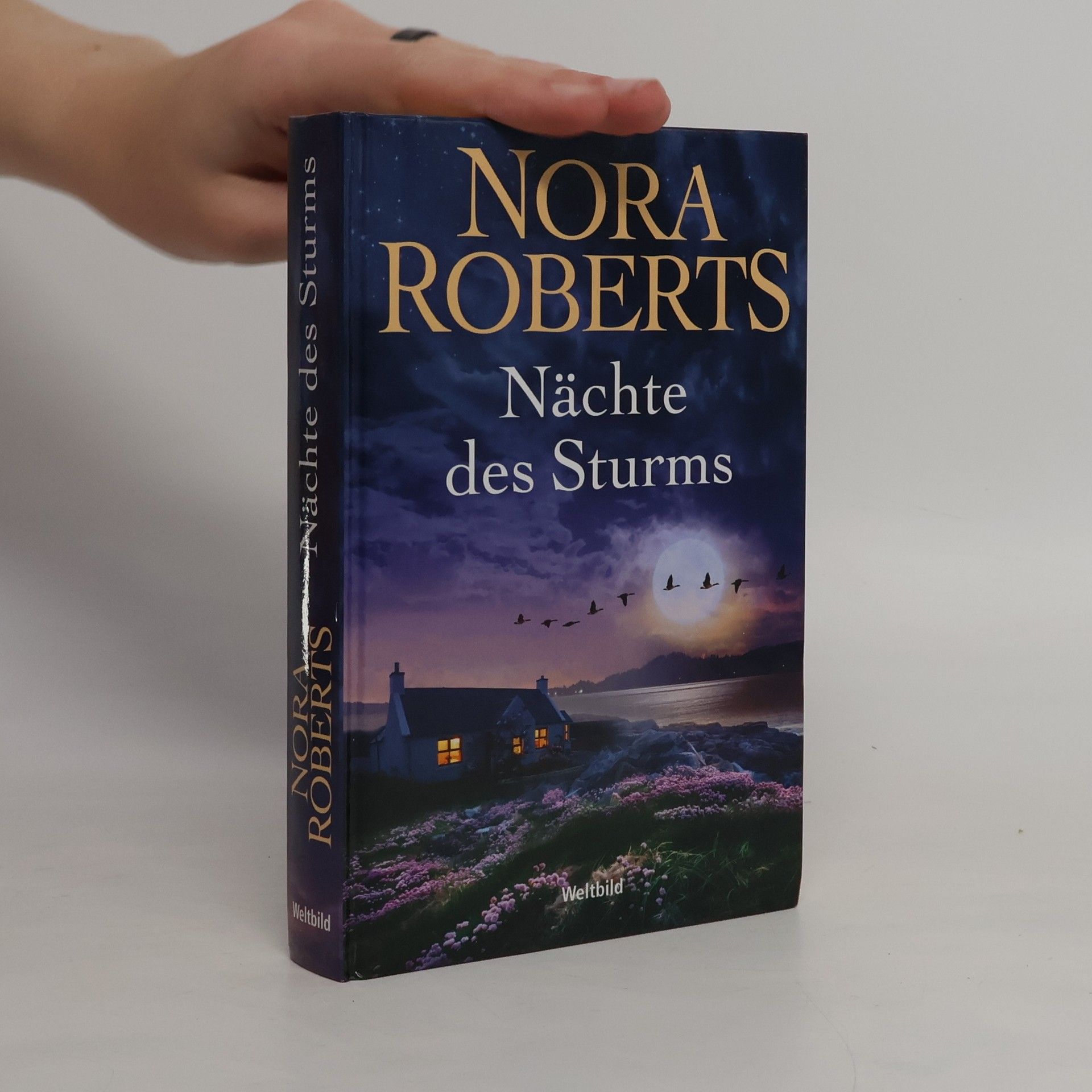Nora Roberts Insel des Sturms
