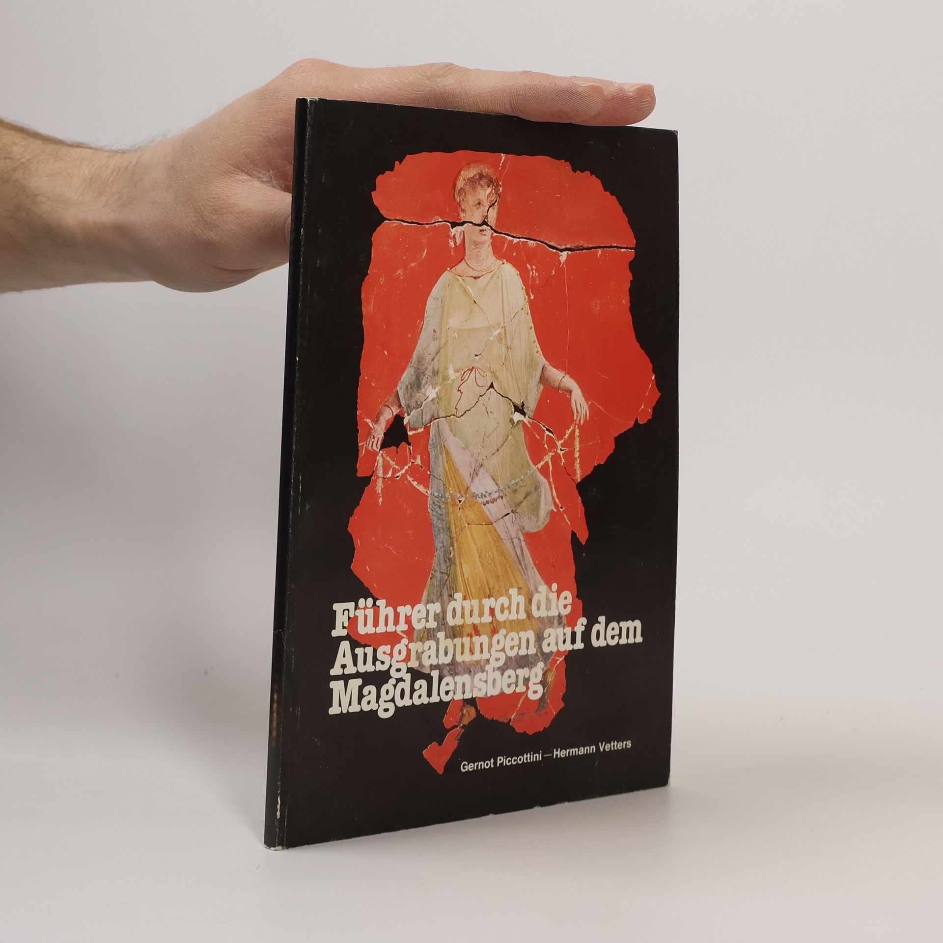 Autorenkollektiv Führer durch die Ausgrabungen auf dem Magdalensberg