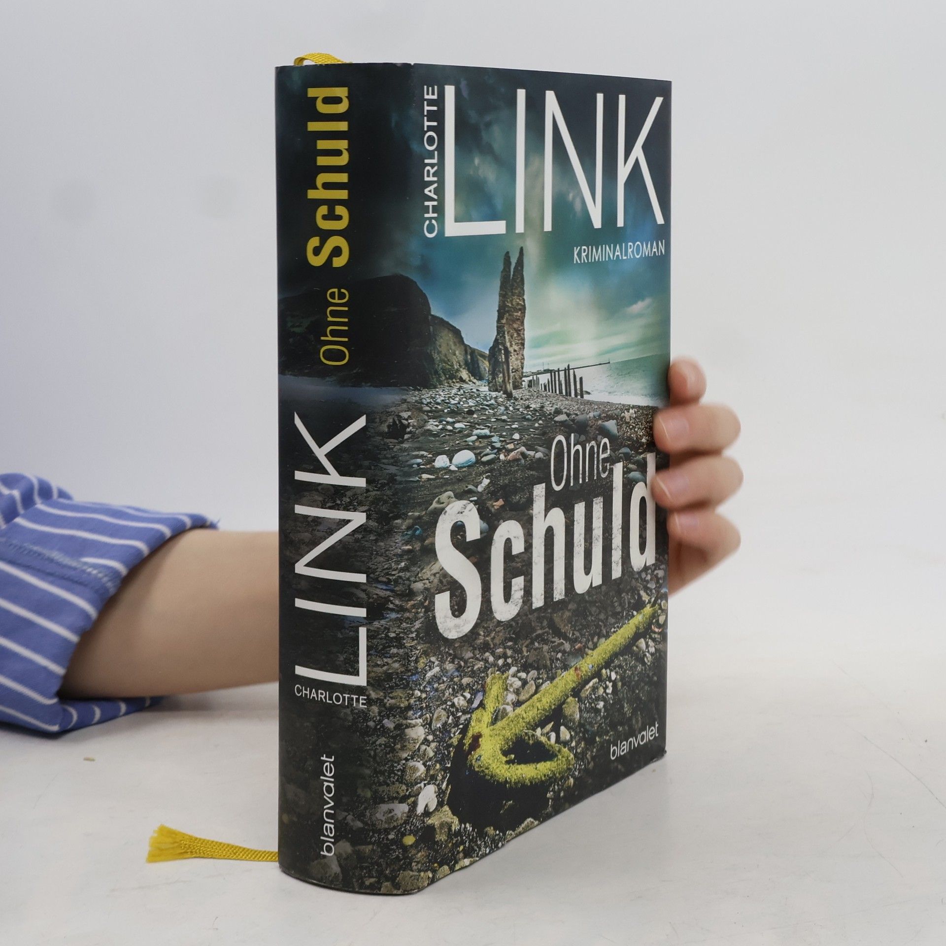 Charlotte Link Ohne Schuld