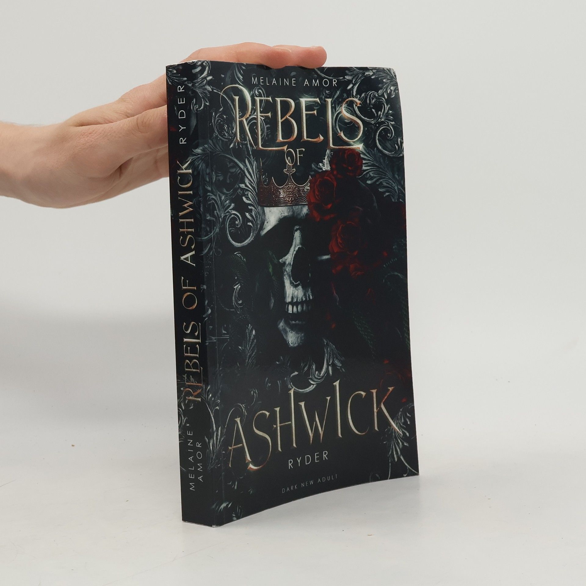 Melaine Amor Rebels of Ashwick - Ryder