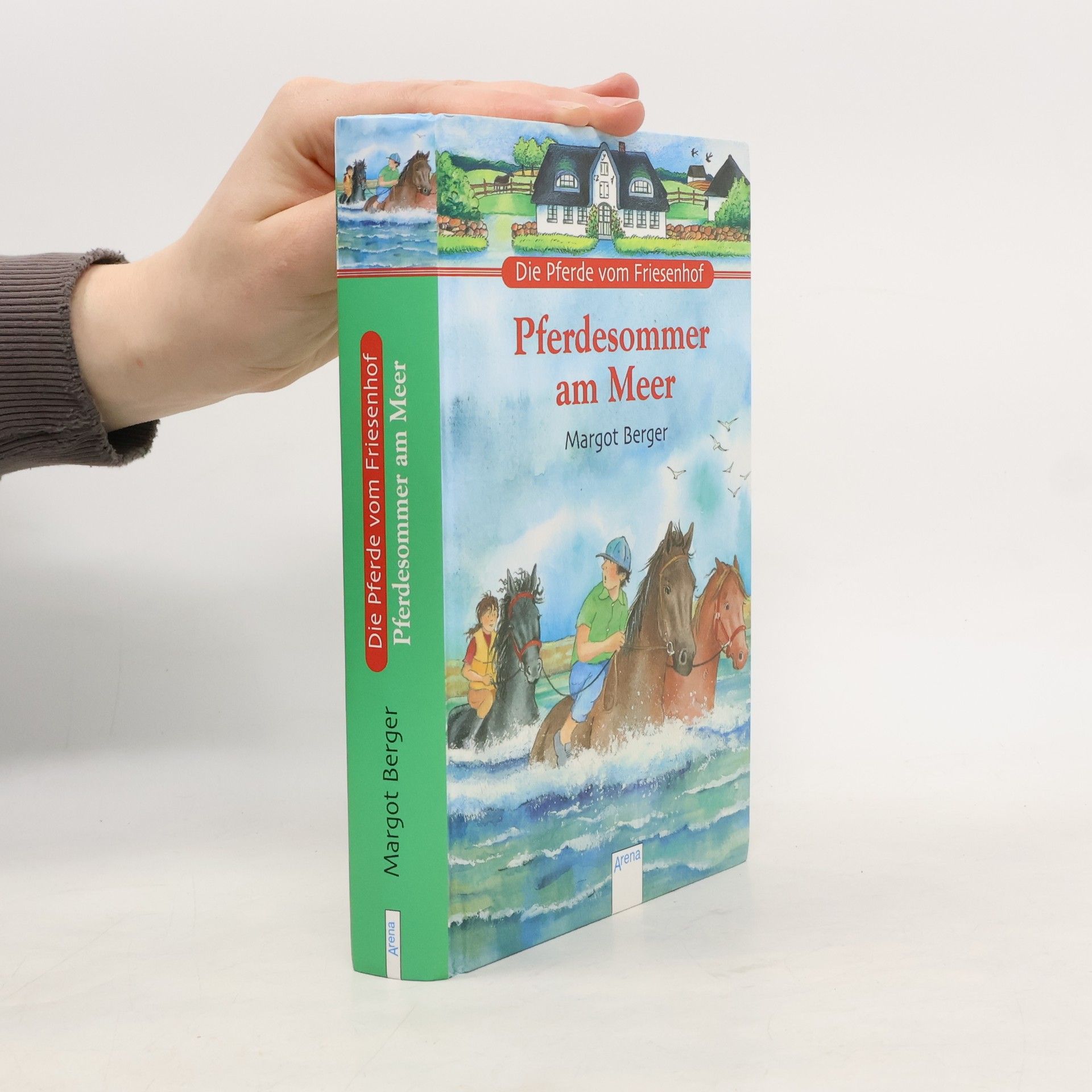 Die Pferde vom Friesenhof