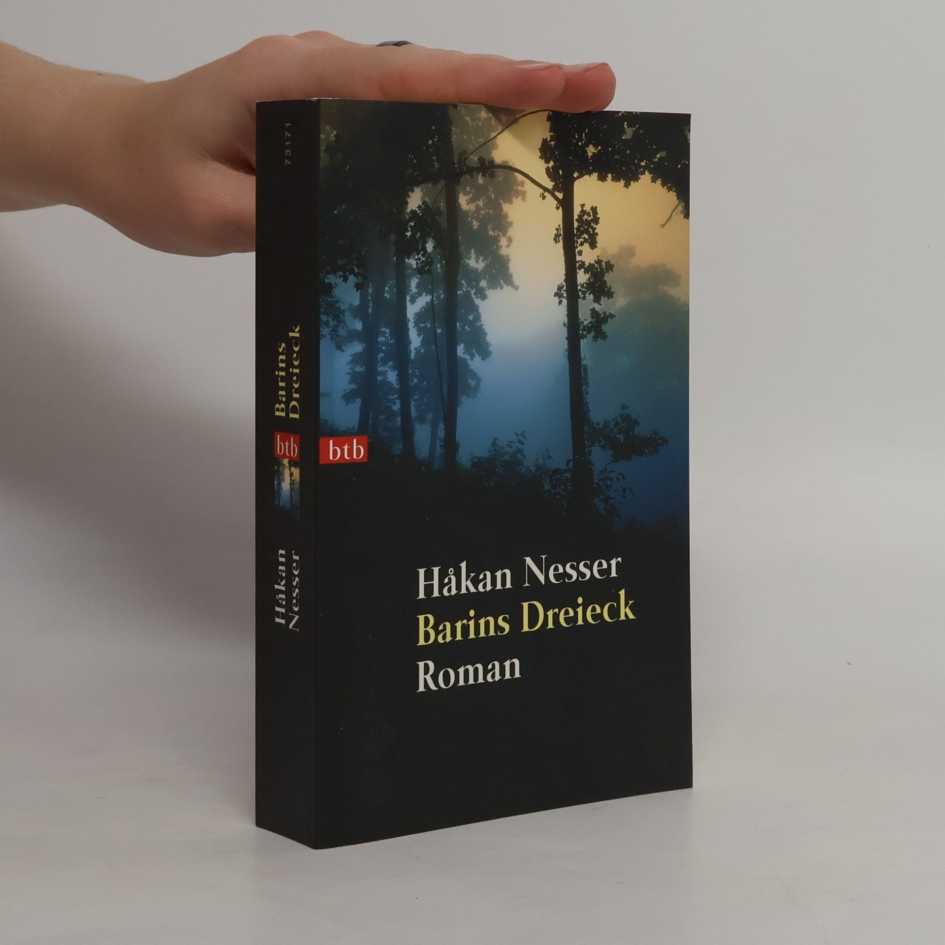 Håkan Nesser Barins Dreieck