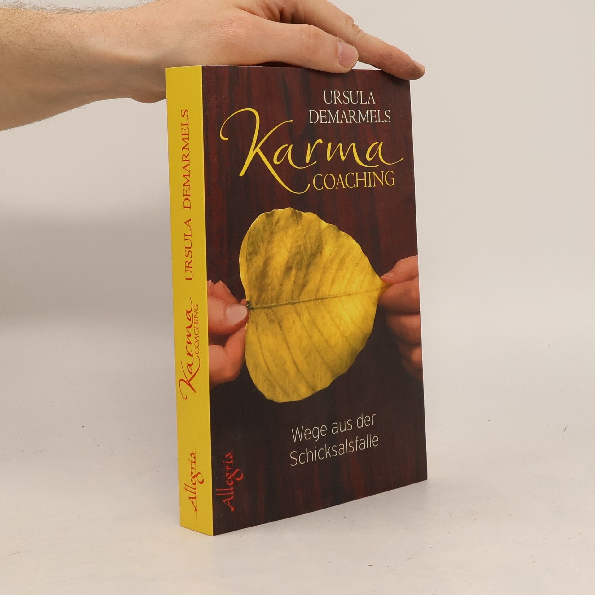 Ursula Demarmels Karma-Coaching